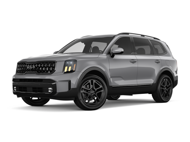 Photo view of 2025 Kia Telluride in Gray