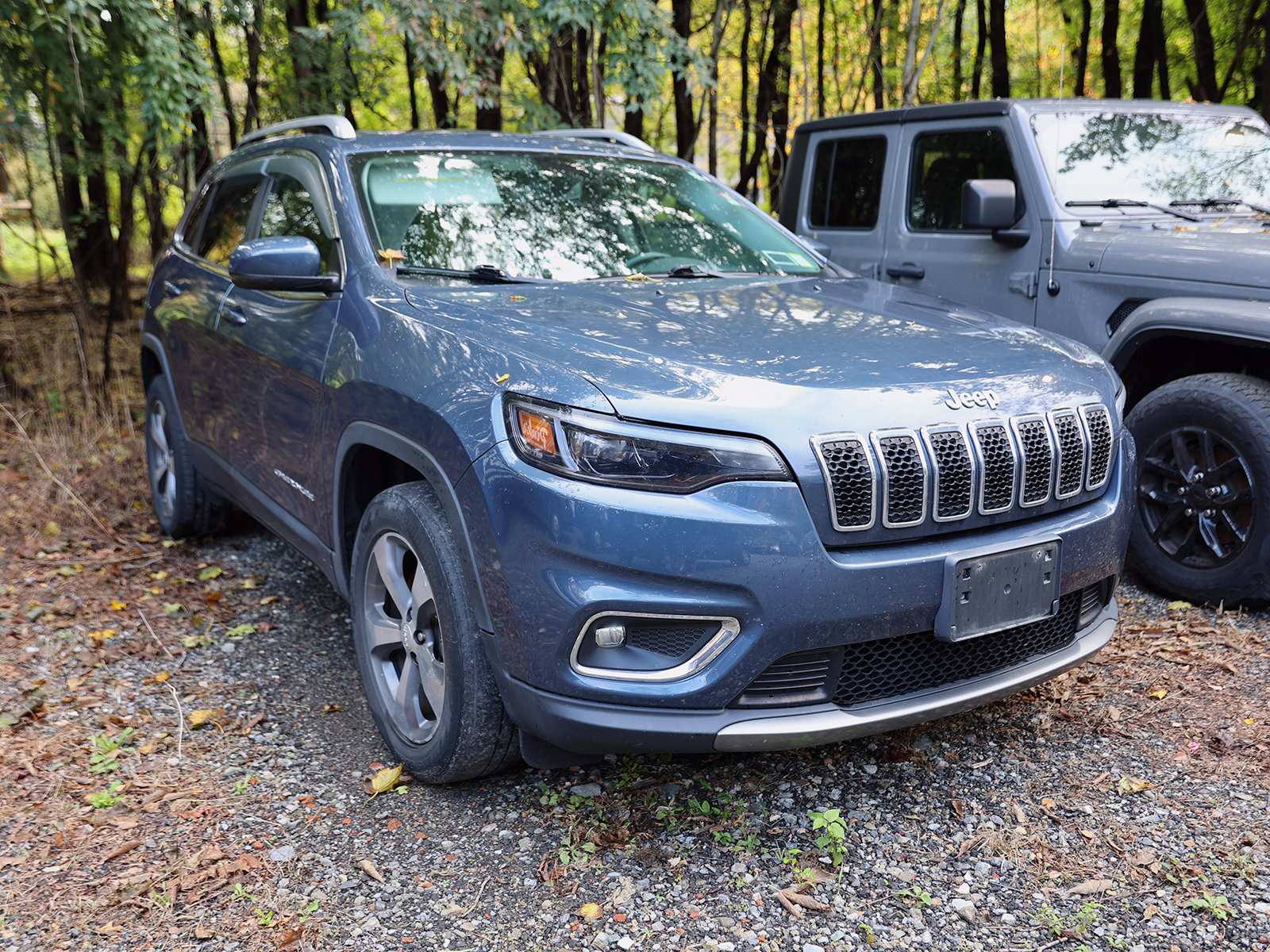 Photo view of 2019 Jeep Cherokee in Blue