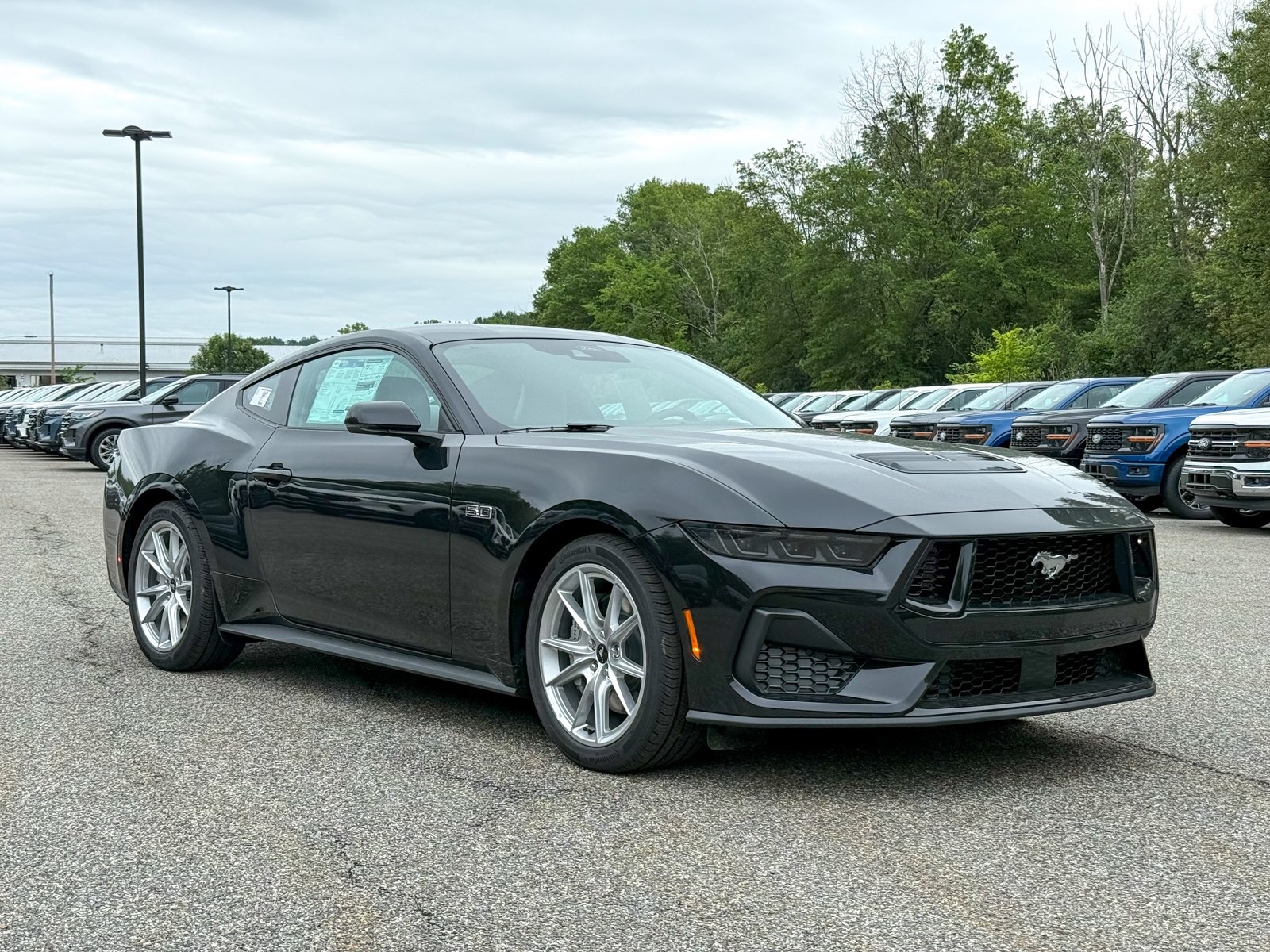 Photo view of 2025 Ford Mustang in Black