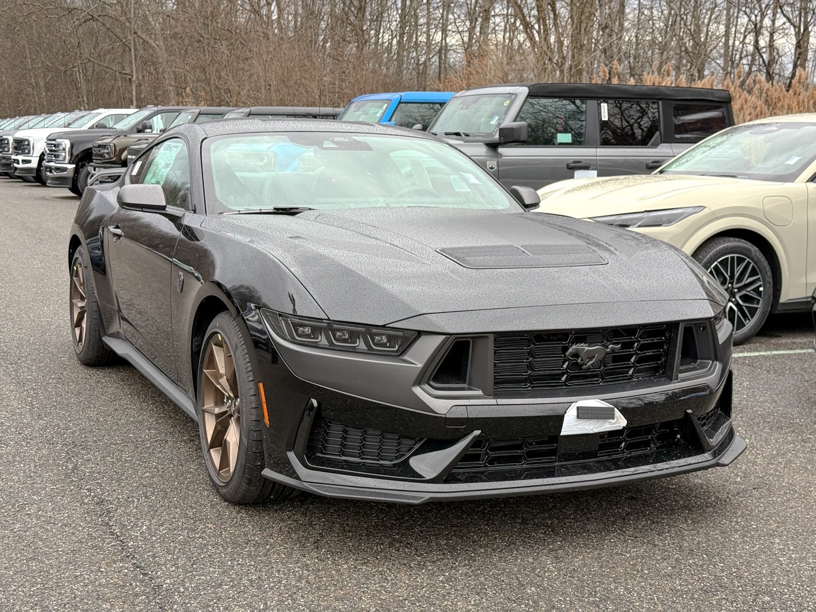 Photo view of 2026 Ford Mustang in Black