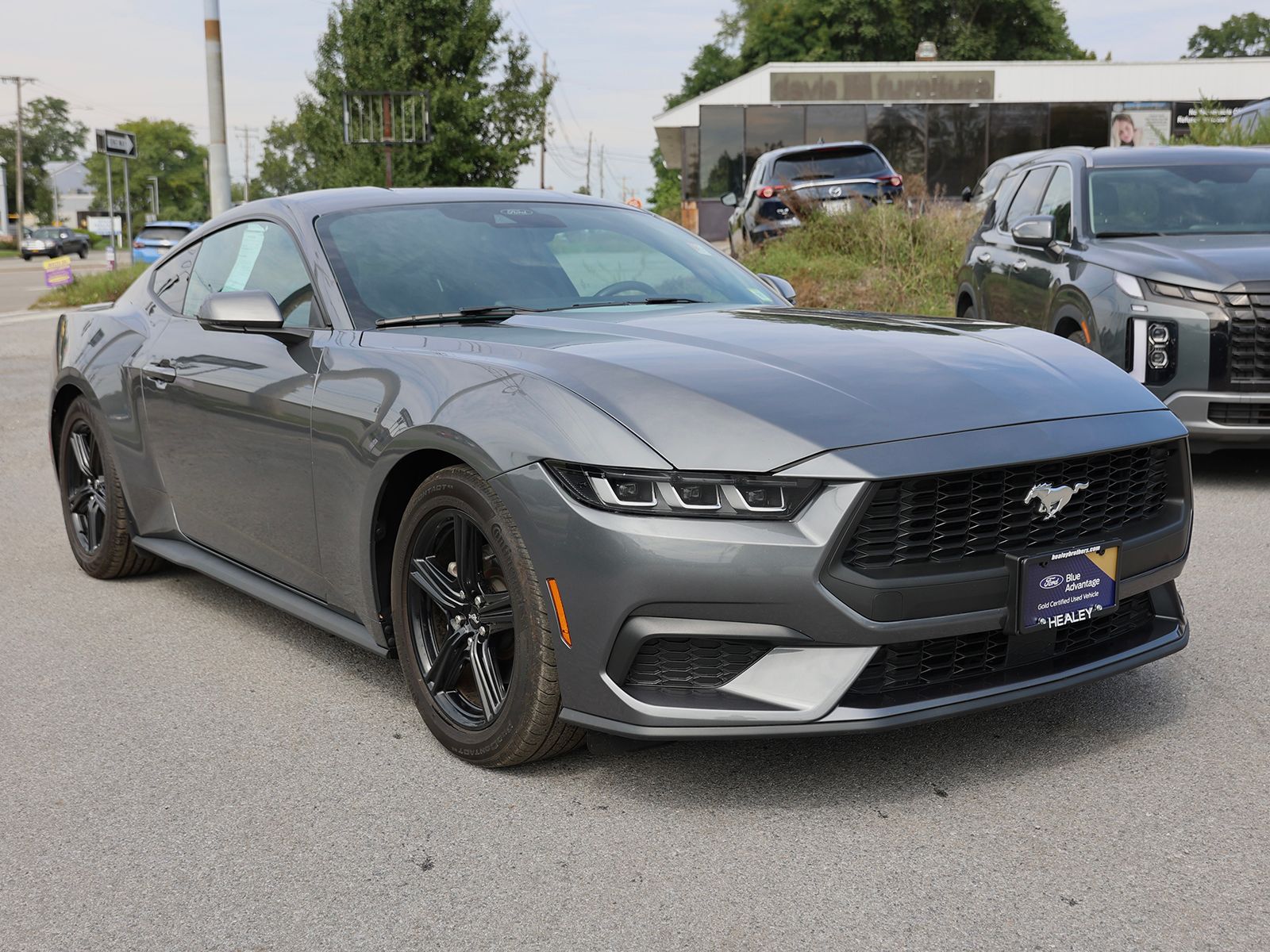 Photo view of 2024 Ford Mustang in