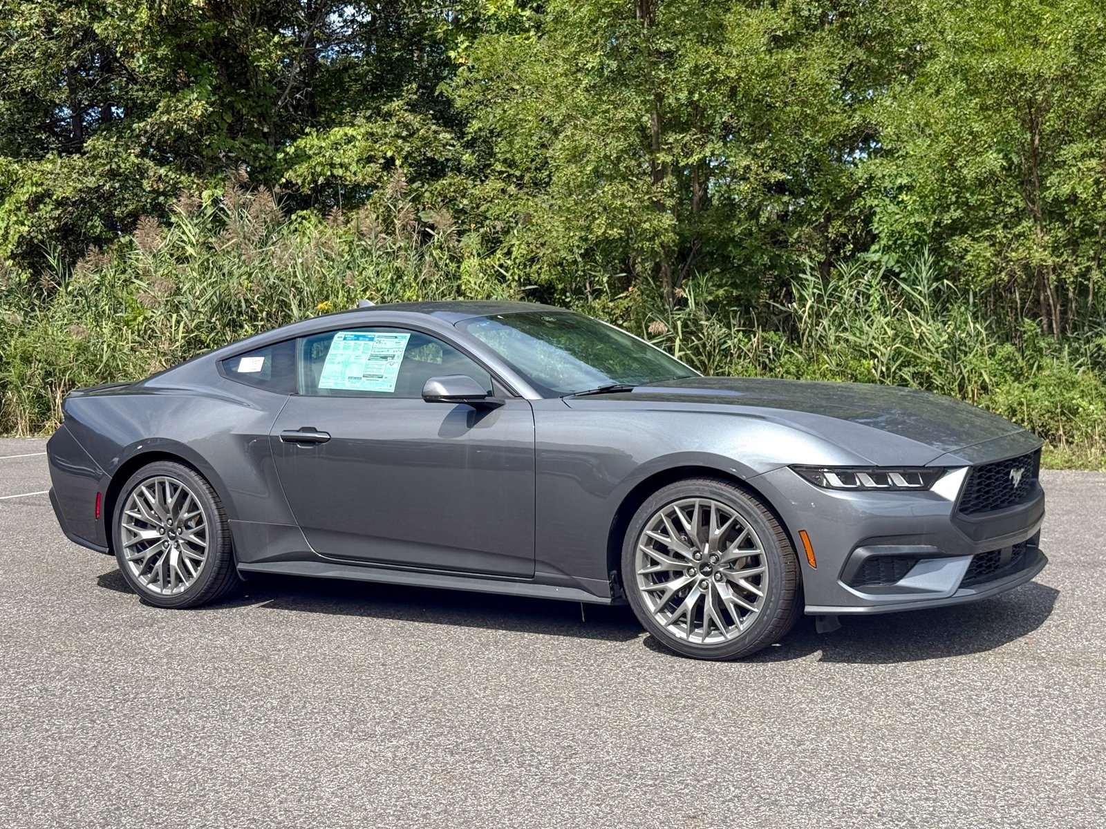 Photo view of 2025 Ford Mustang in Gray
