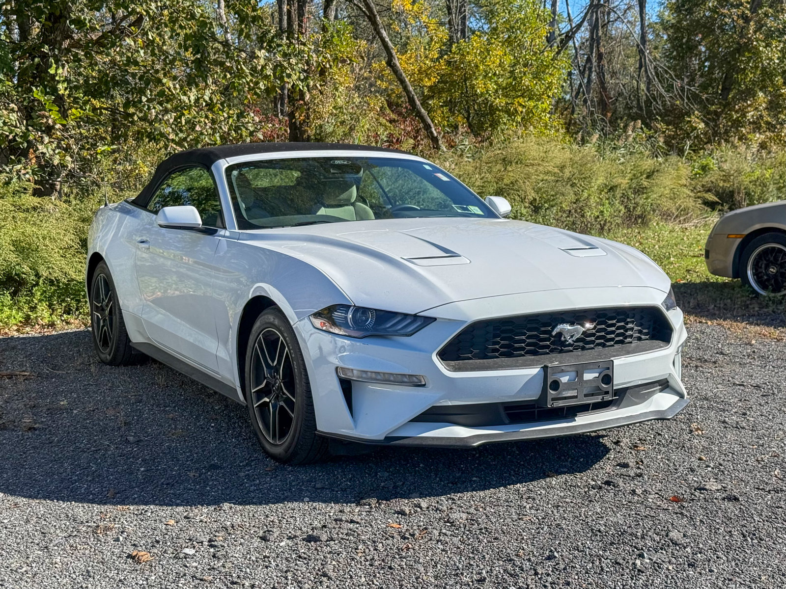 Photo view of 2022 Ford Mustang in White