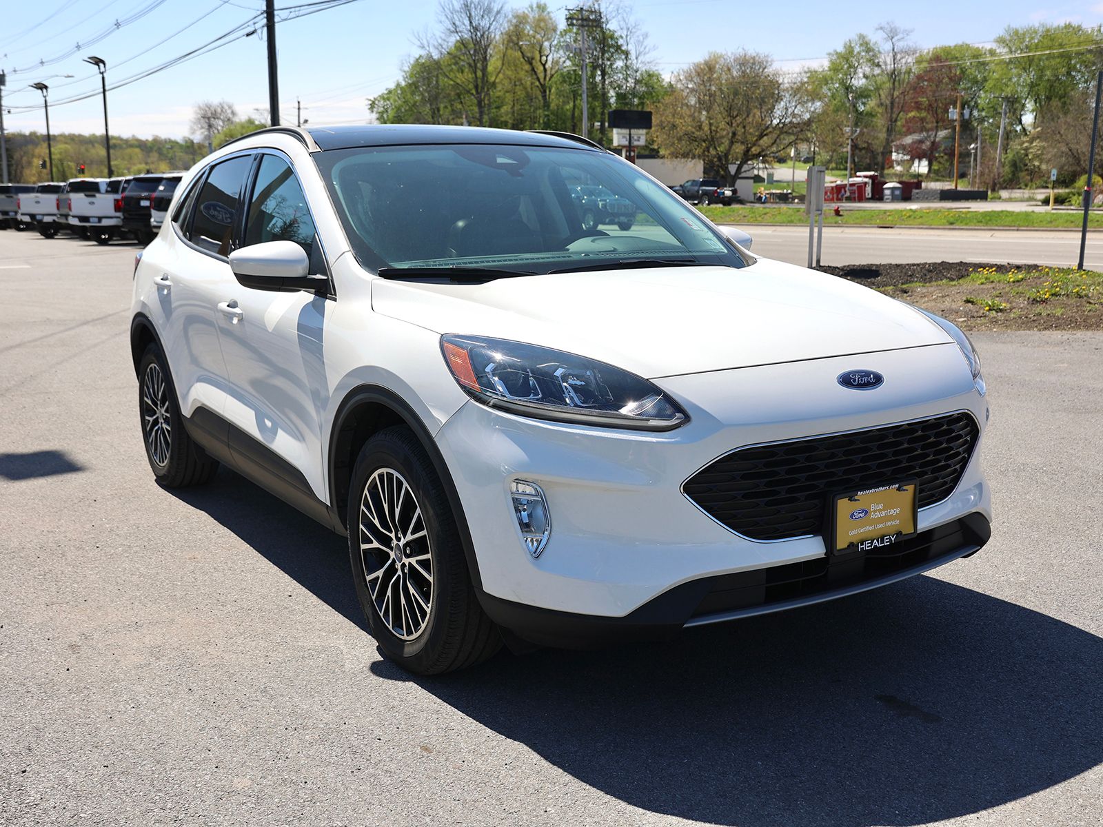 Photo view of 2022 Ford Escape in White