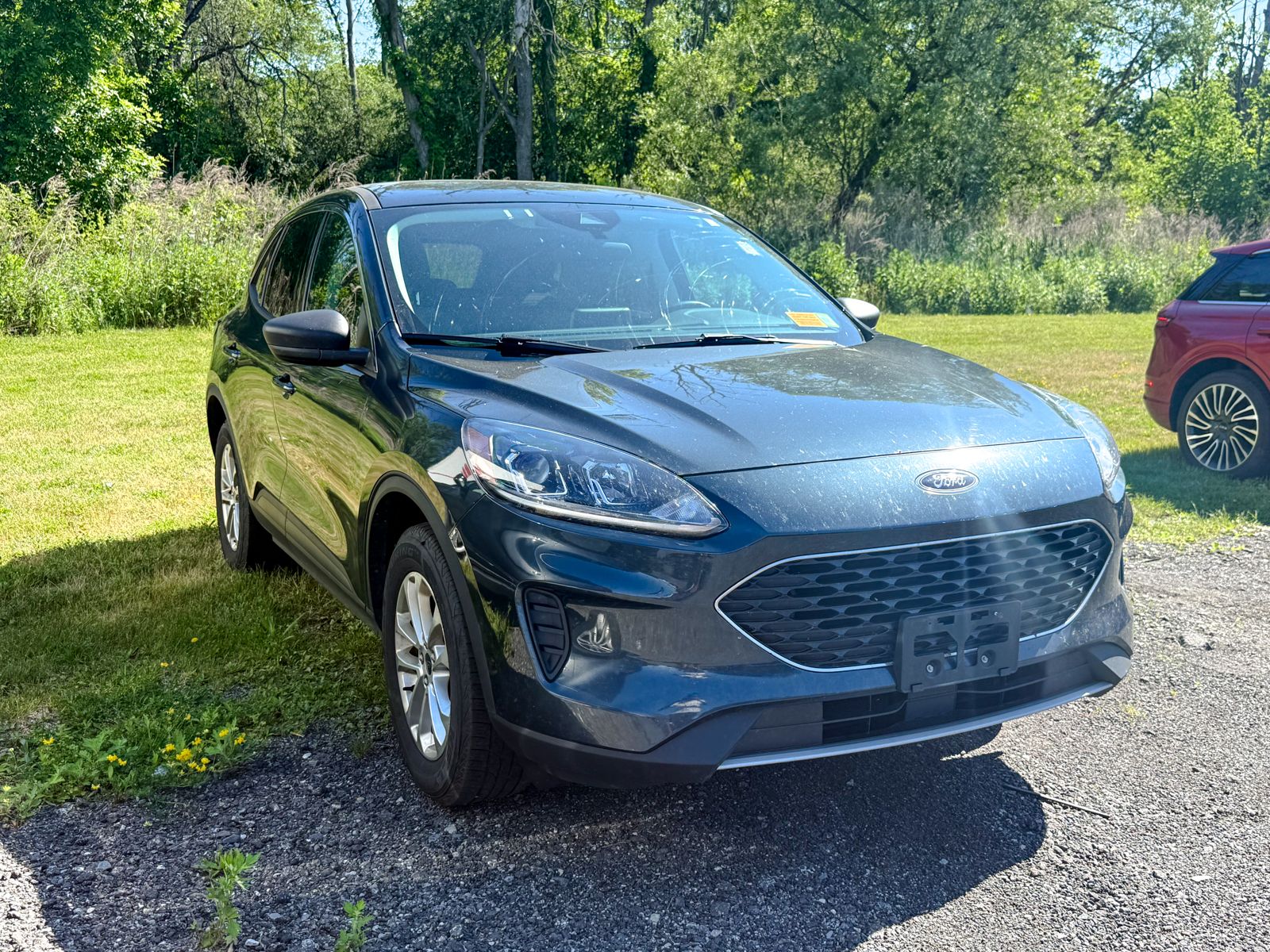 Photo view of 2022 Ford Escape in Blue