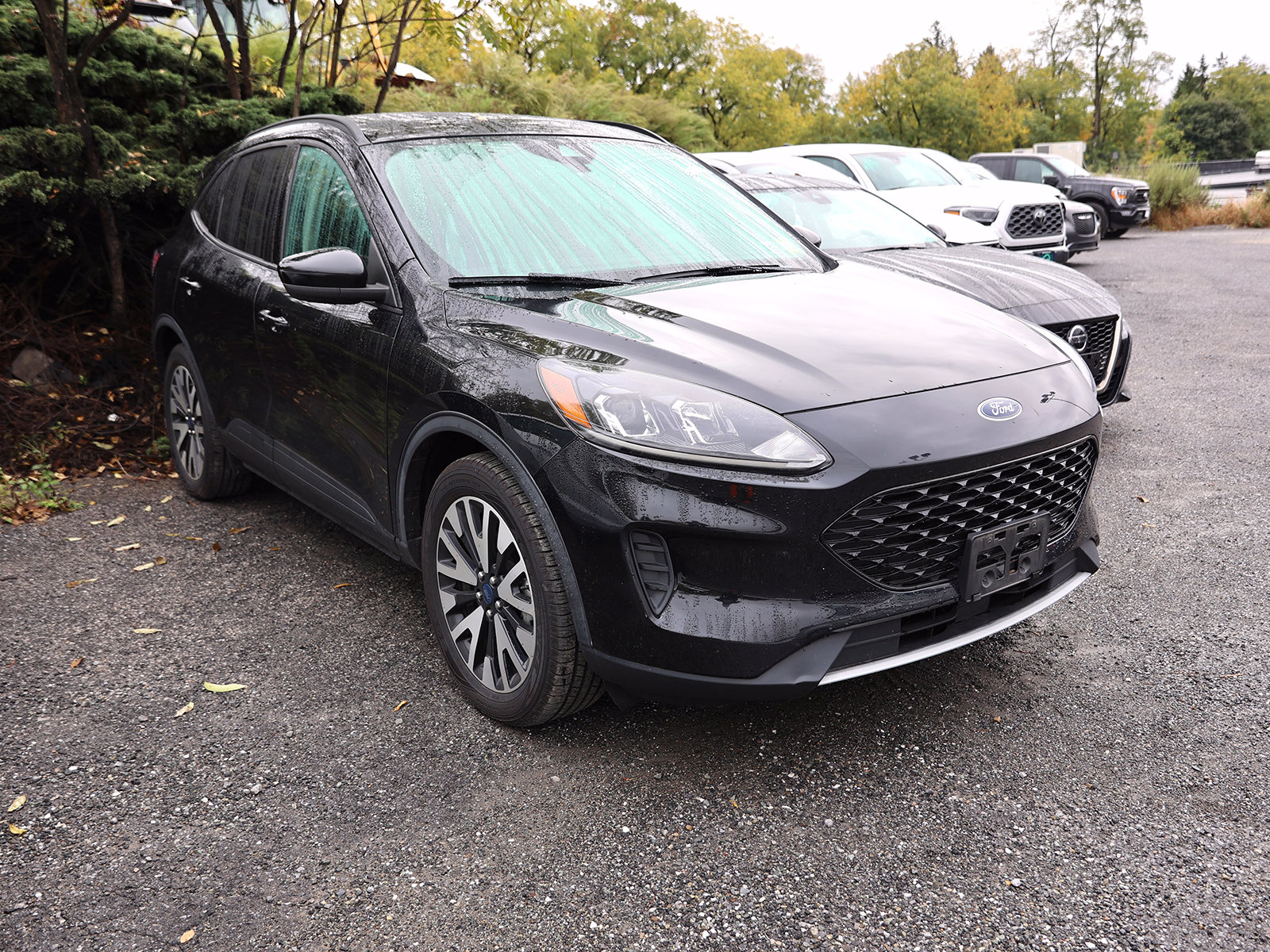 Photo view of 2020 Ford Escape in Black