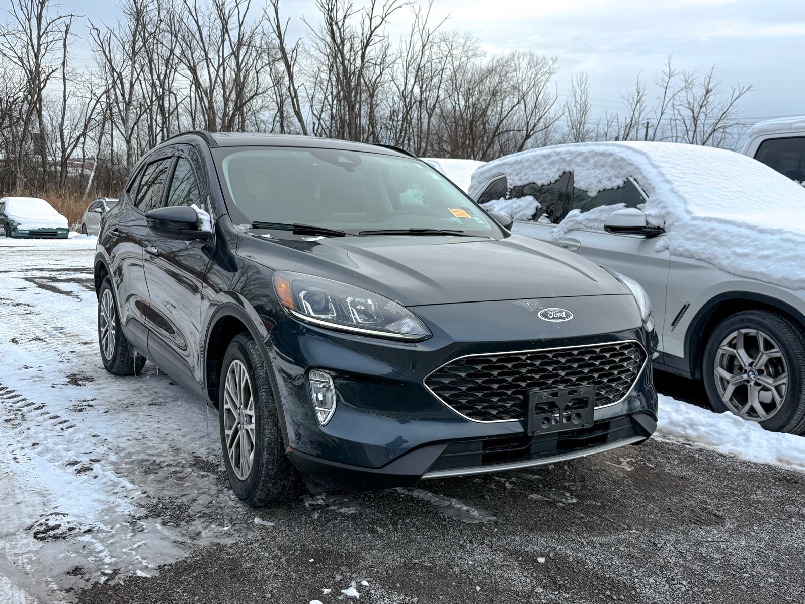 Photo view of 2022 Ford Escape in Blue