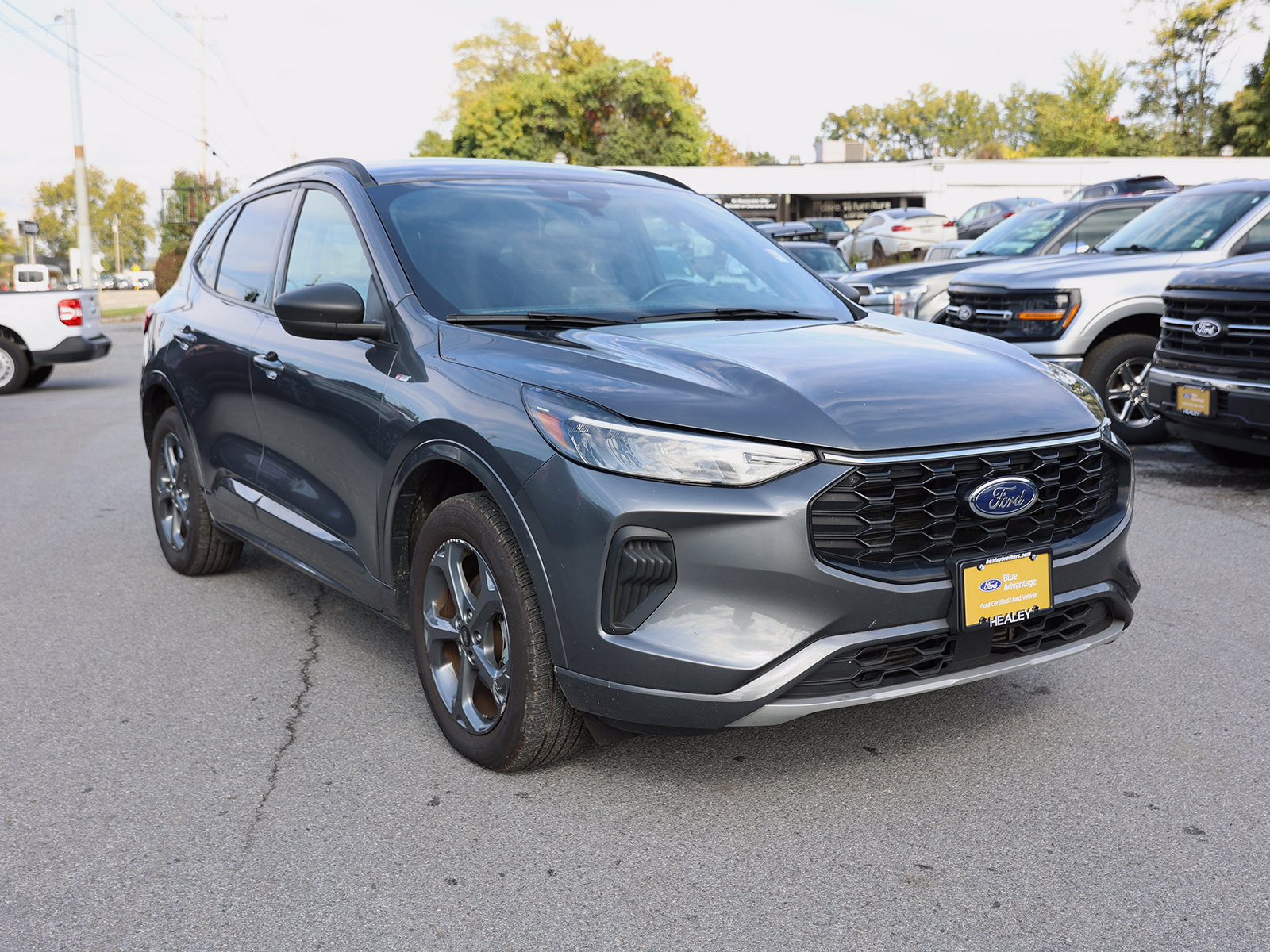 Photo view of 2024 Ford Escape in Gray