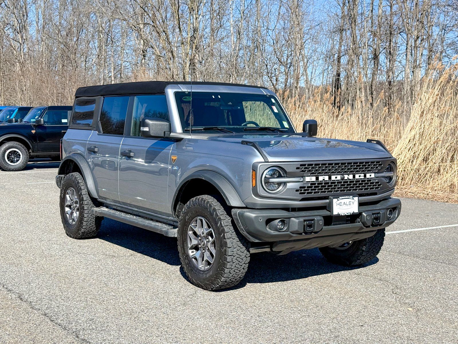 Photo view of 2023 Ford Bronco in Silver