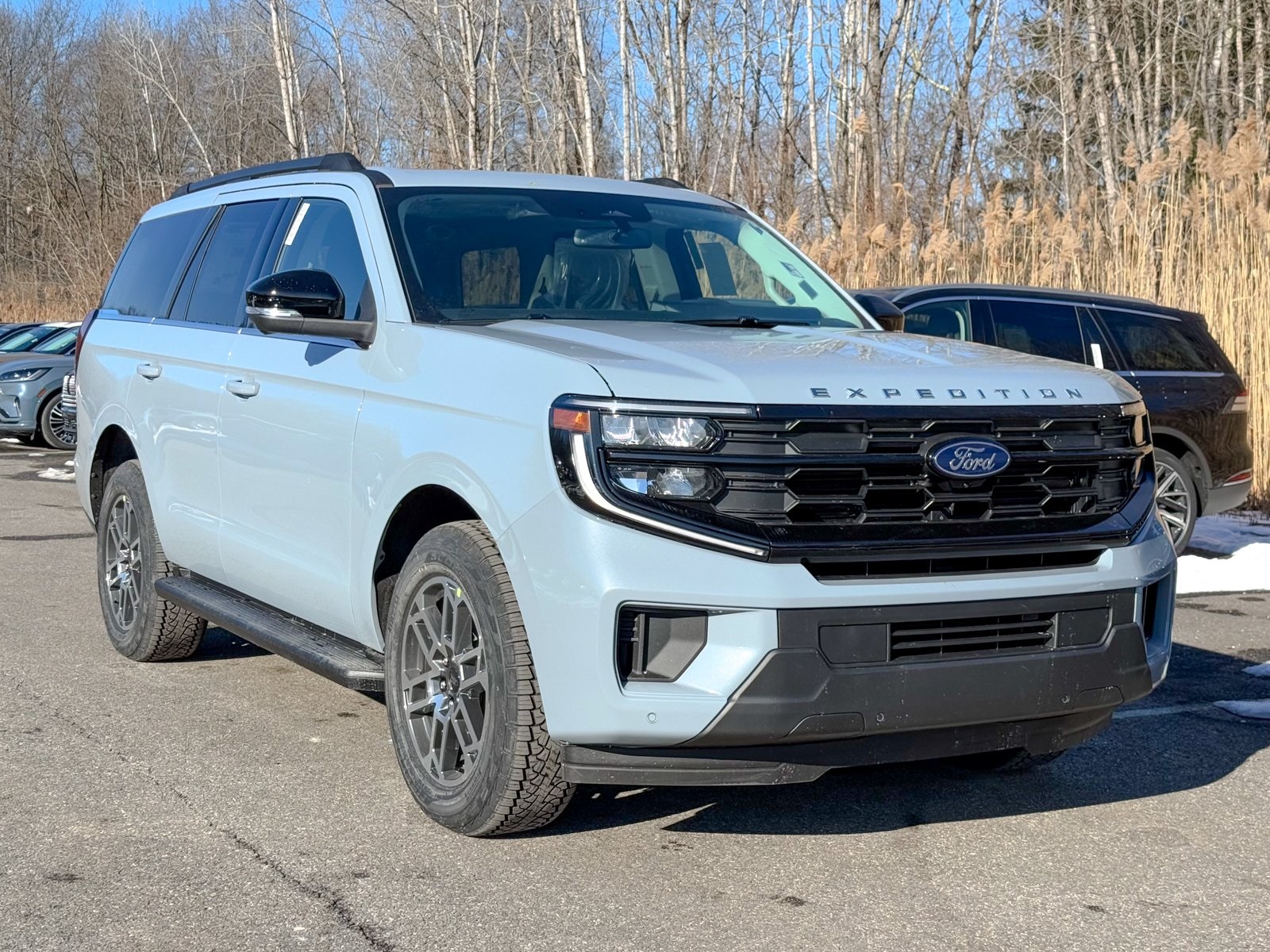 Photo view of 2025 Ford Expedition in Gray