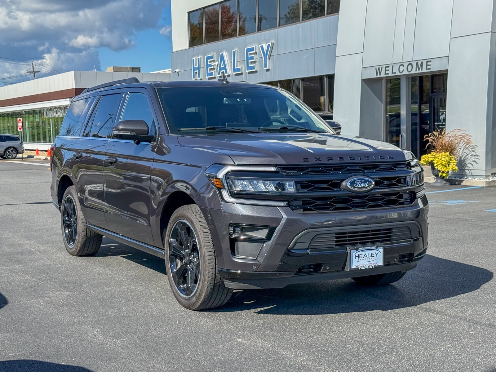 Photo view of 2024 Ford Expedition in Gray