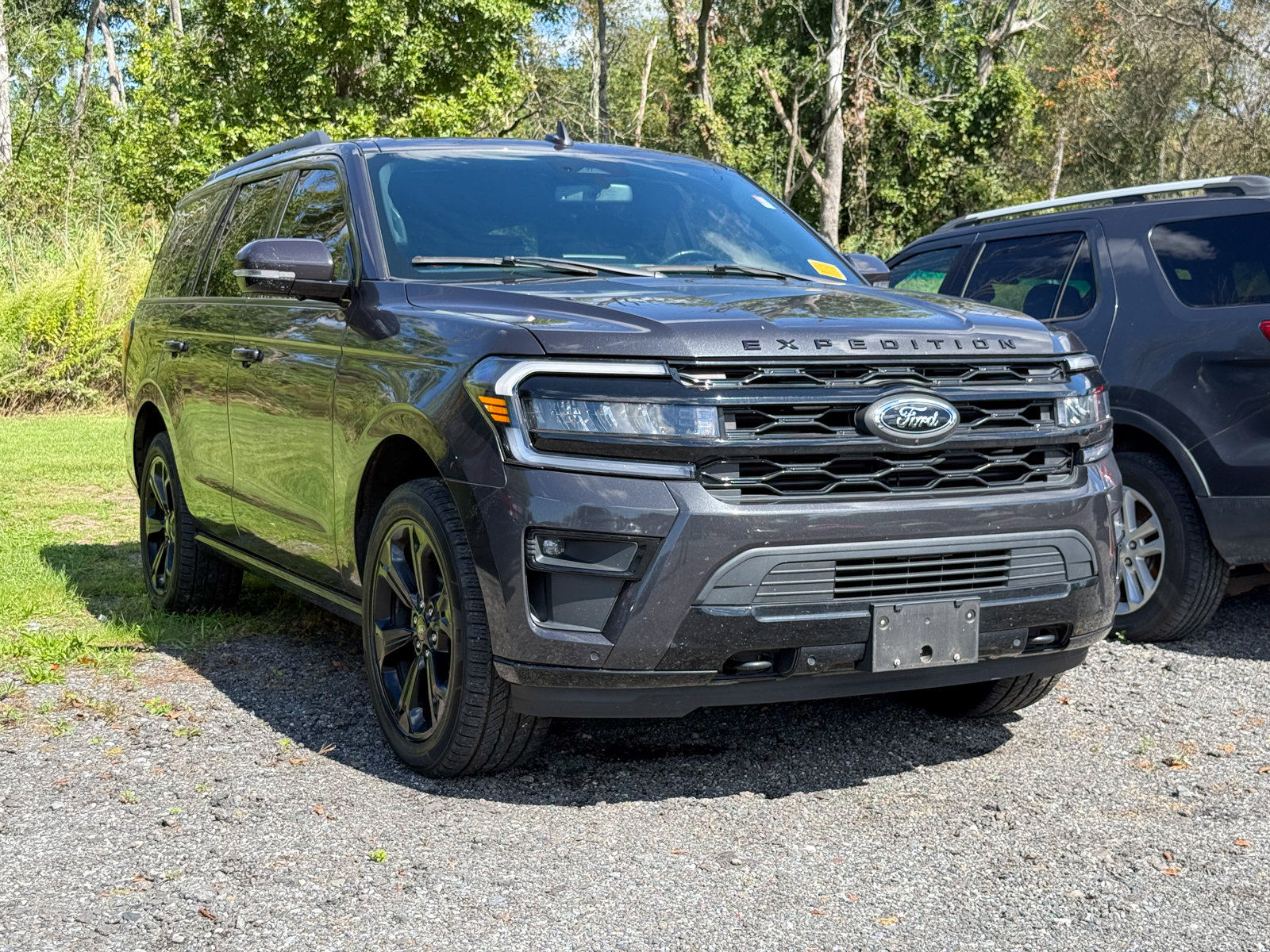 Photo view of 2022 Ford Expedition in Gray