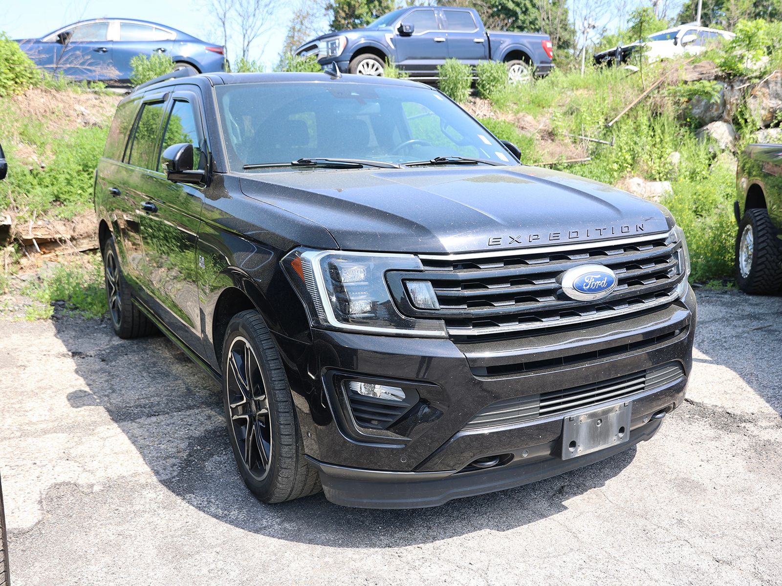 Photo view of 2019 Ford Expedition in Black