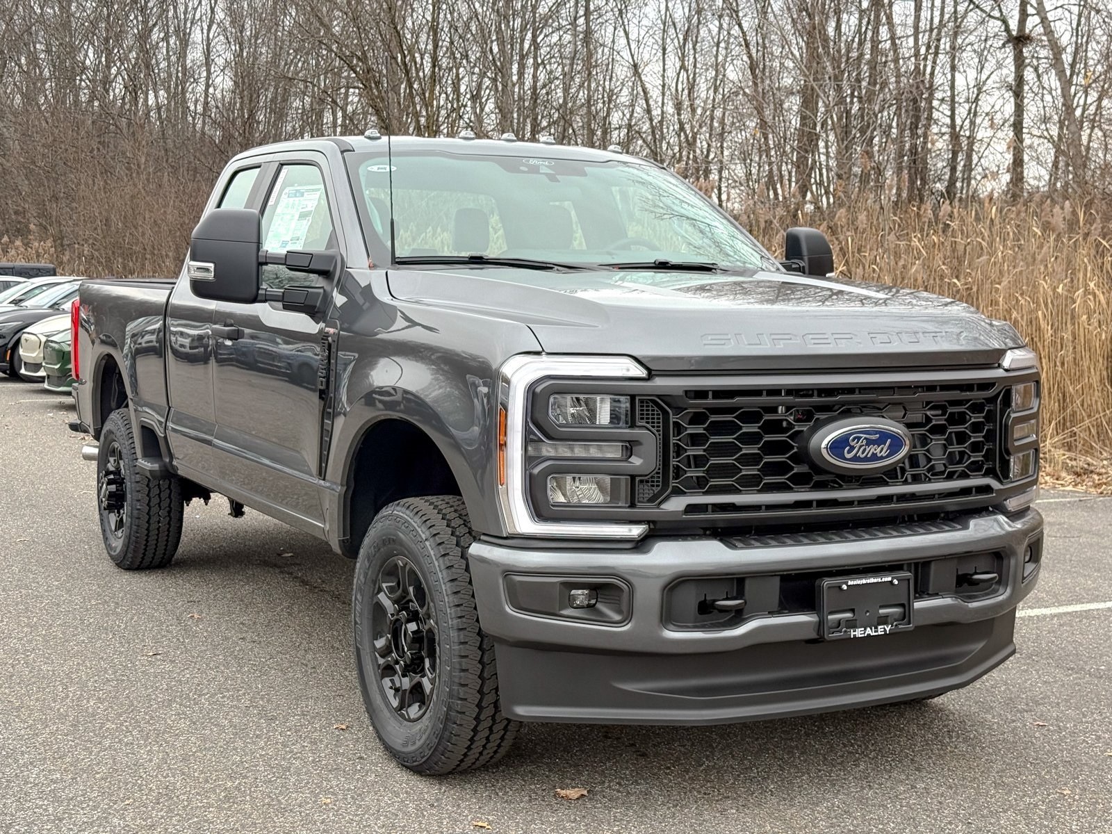 Photo view of 2026 Ford Super Duty in Gray