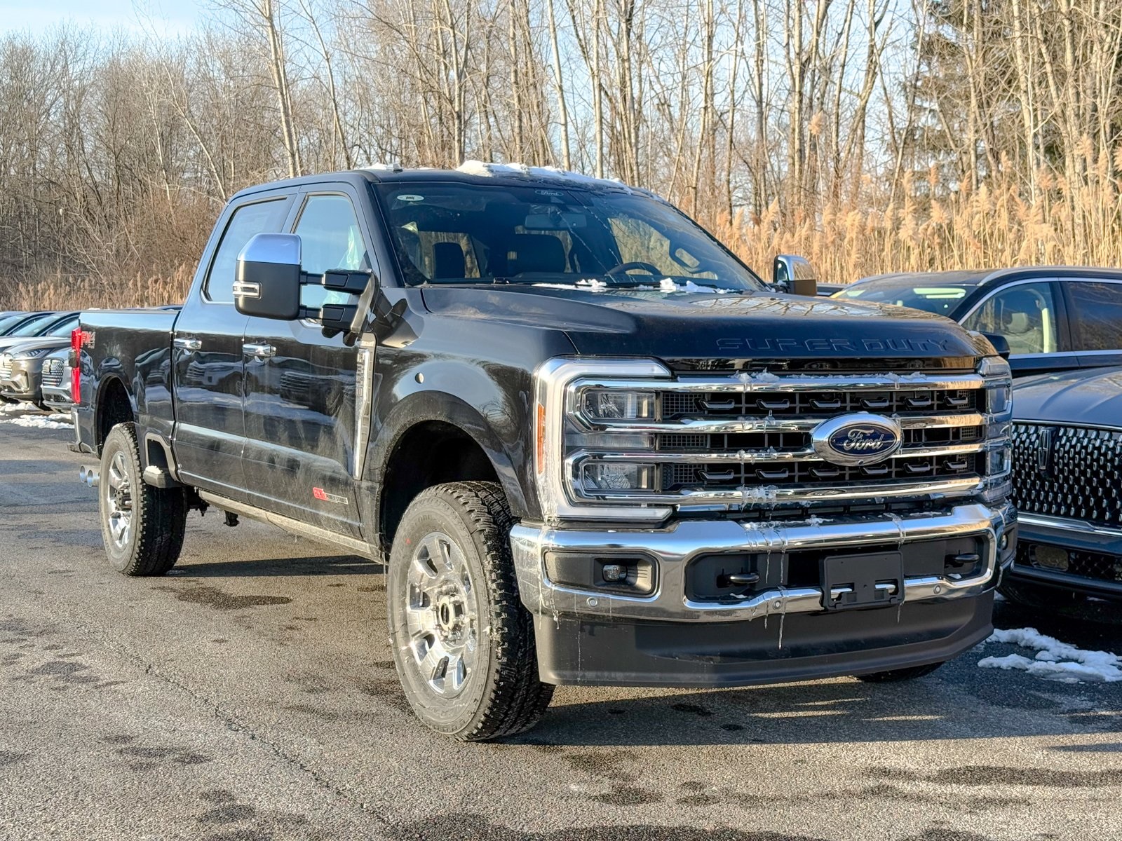 Photo view of 2026 Ford Super Duty in Black