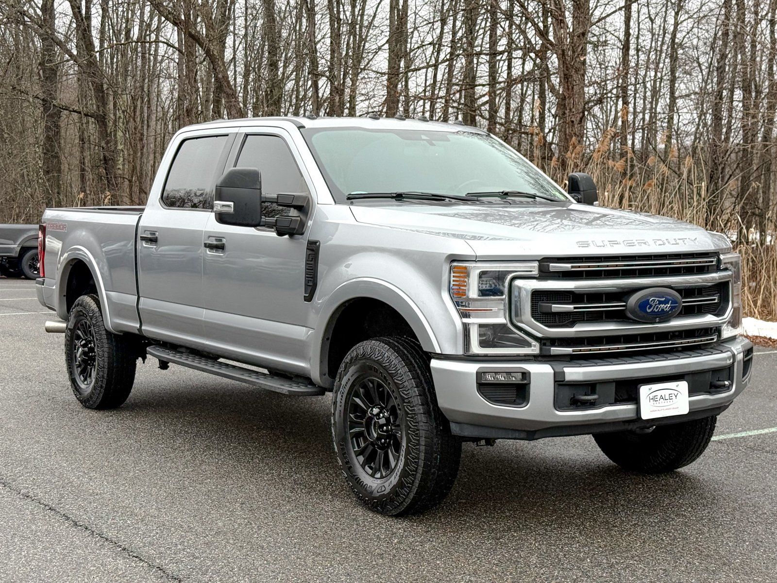 Photo view of 2022 Ford Super Duty in Silver