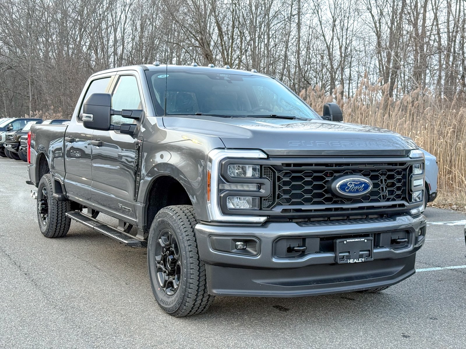 Photo view of 2026 Ford Super Duty in Gray