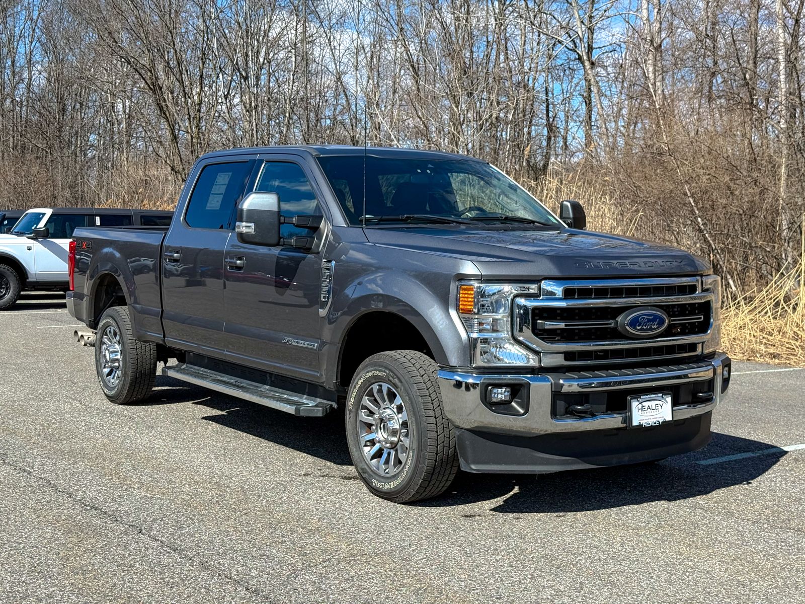 Photo view of 2022 Ford Super Duty in Gray