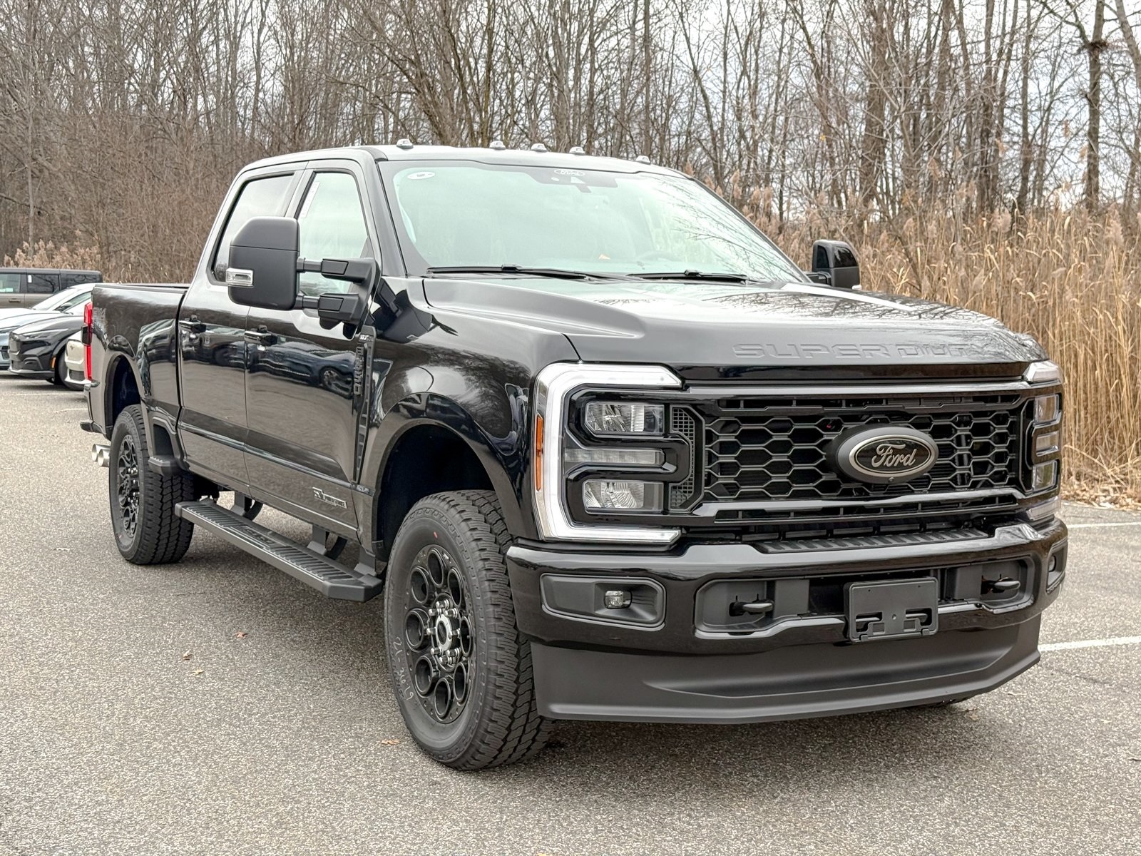 Photo view of 2026 Ford Super Duty in Black