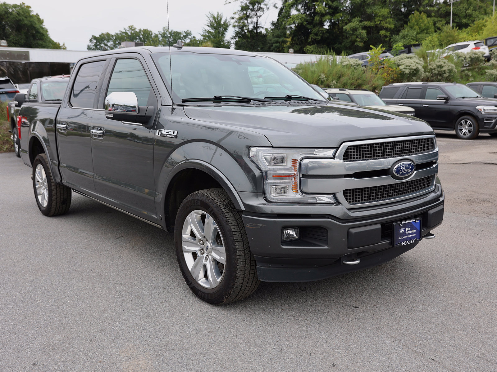 Photo view of 2020 Ford F-150 in Gray
