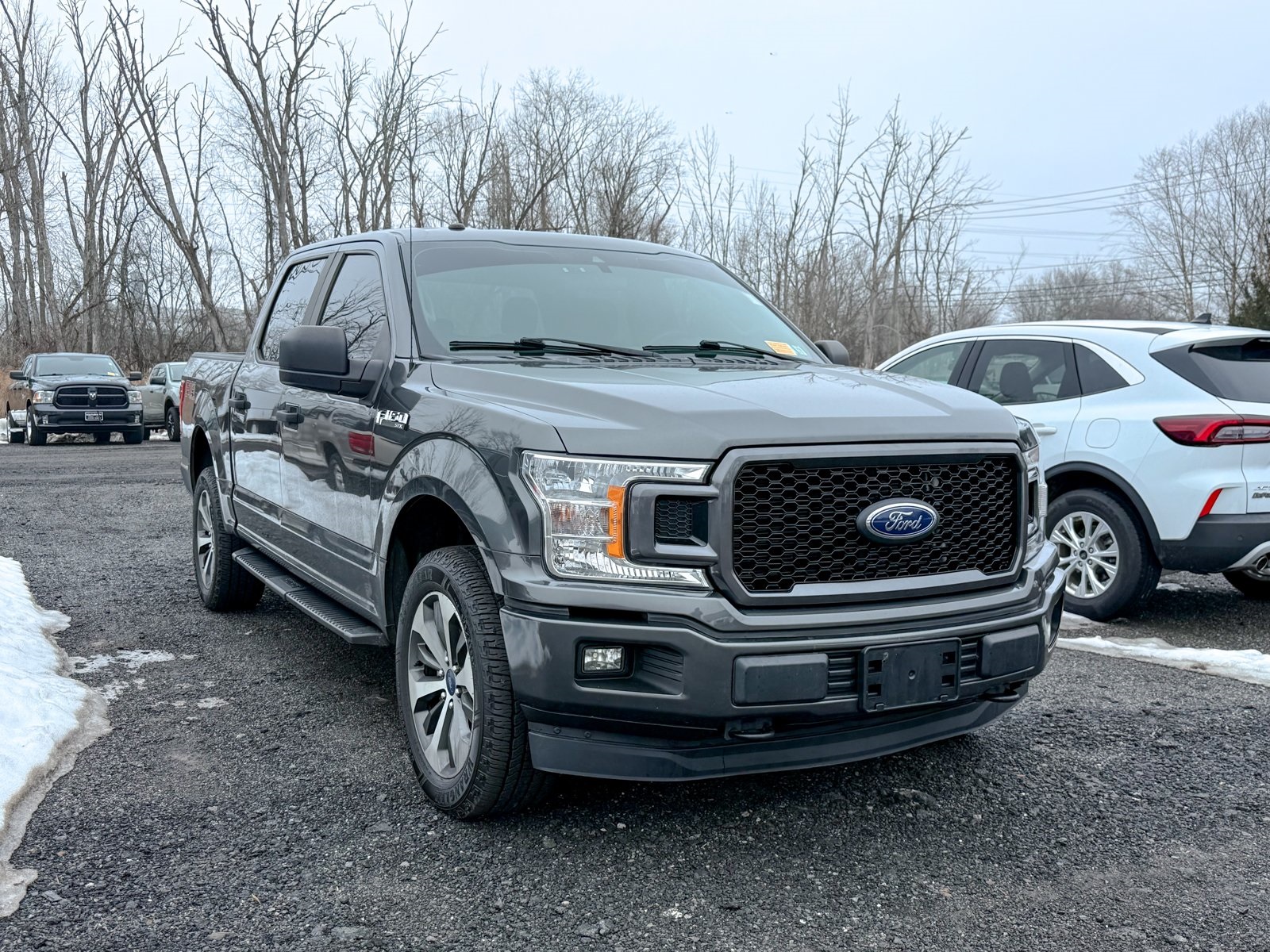 Photo view of 2019 Ford F-150 in Gray
