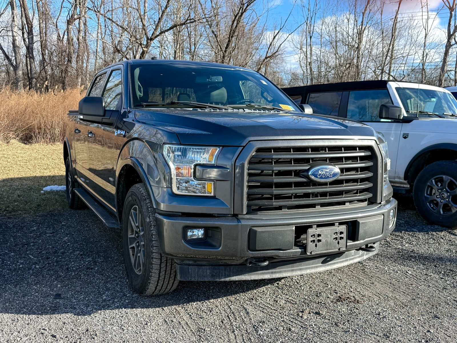 Photo view of 2017 Ford F-150 in Gray