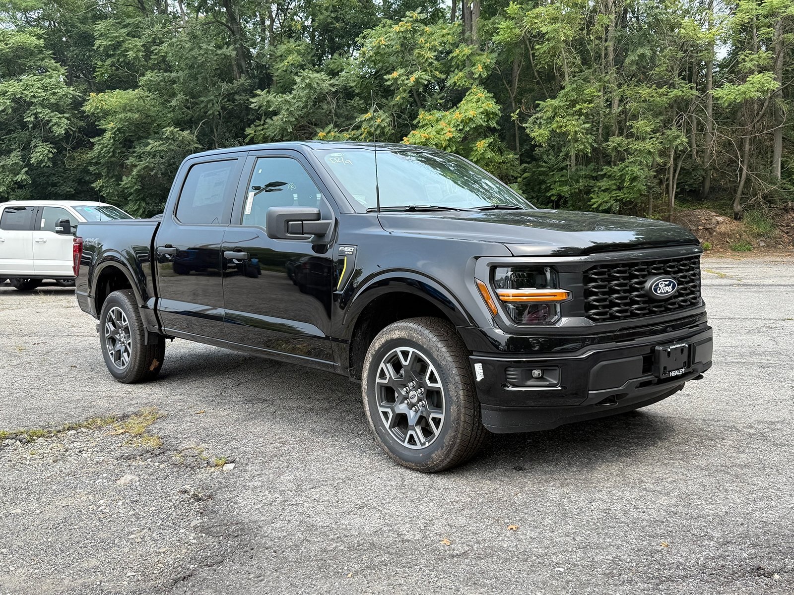 Photo view of 2025 Ford F-150 in Black