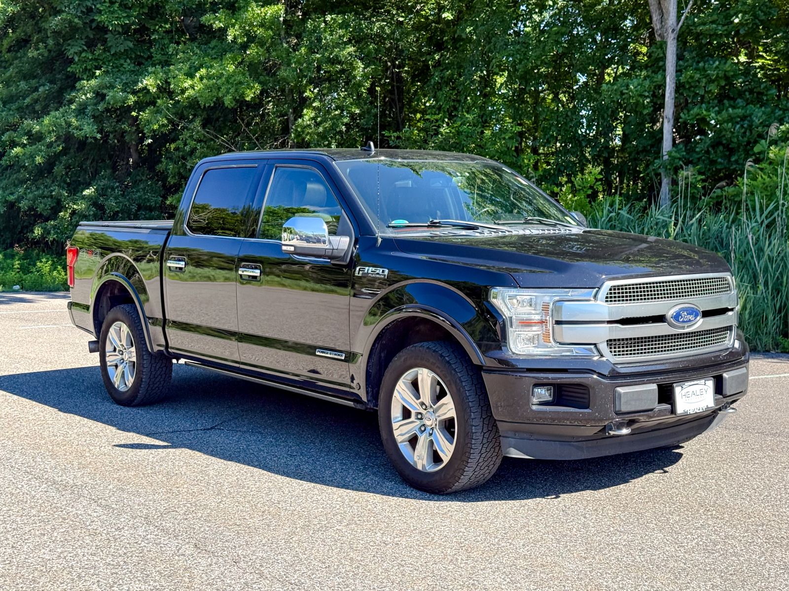 Photo view of 2019 Ford F-150 in Black
