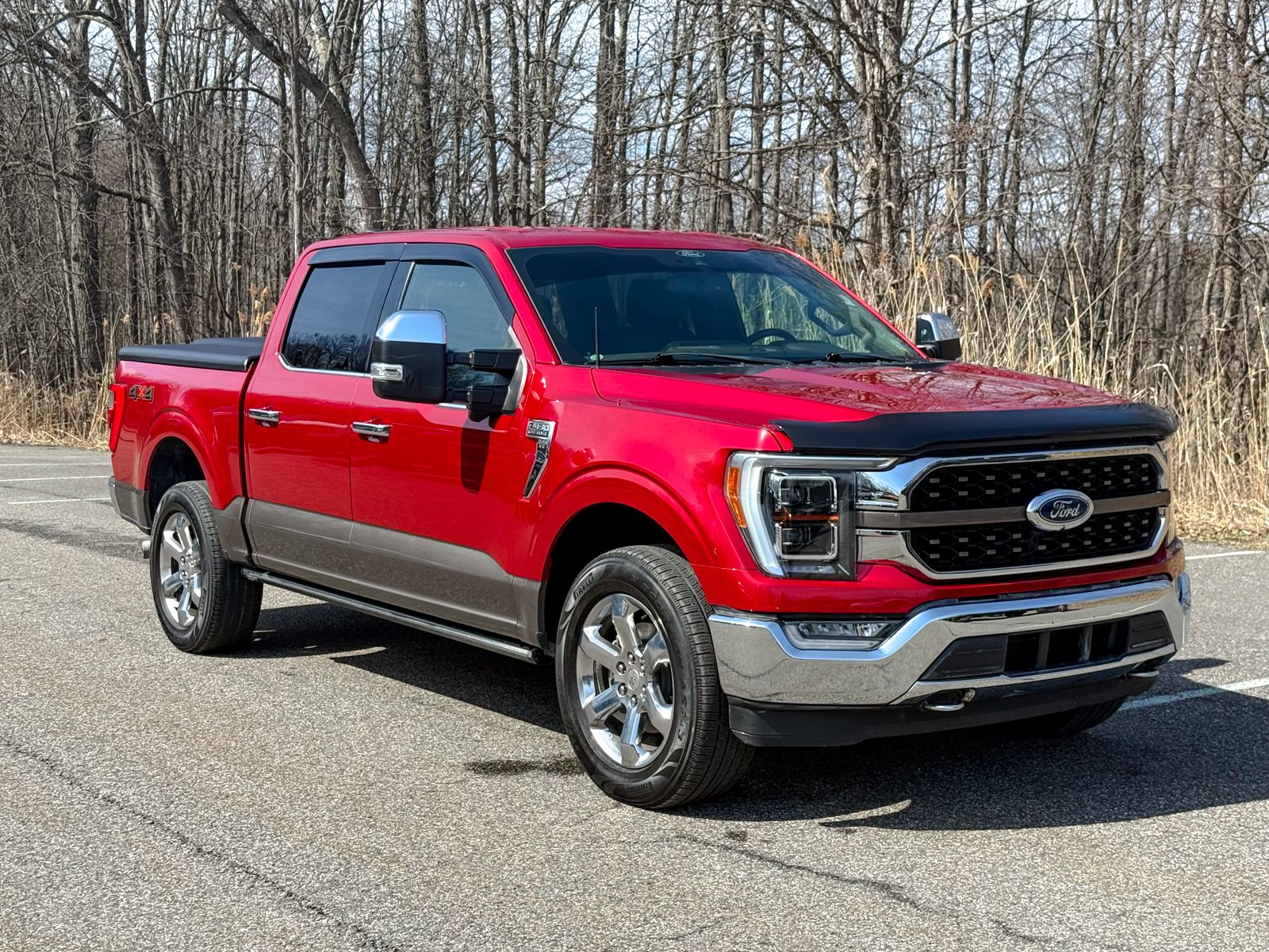 Photo view of 2021 Ford F-150 in Brown