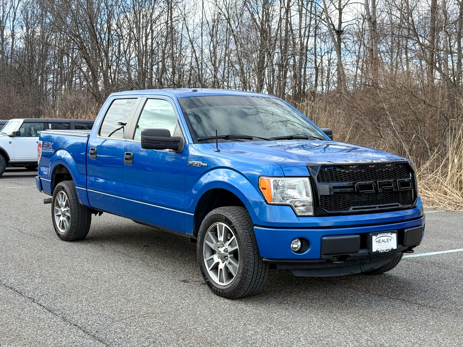 Photo view of 2014 Ford F-150 in Blue