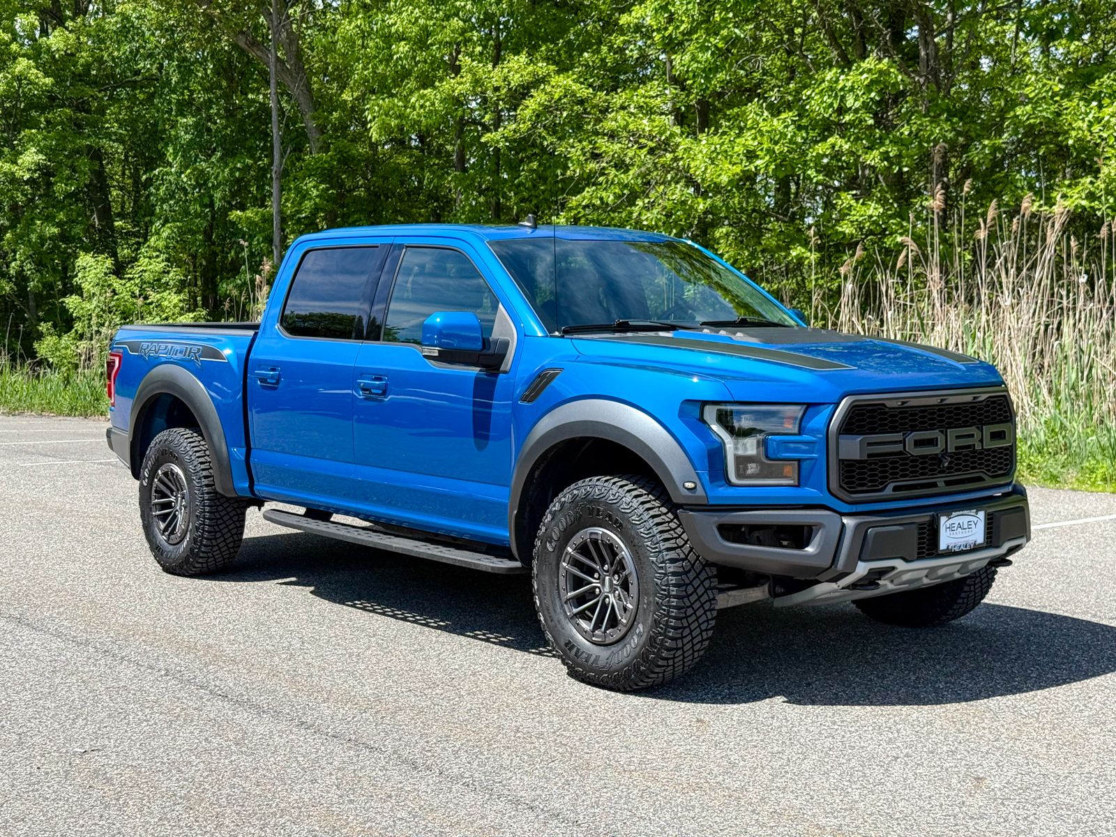 Photo view of 2019 Ford F-150 in Blue