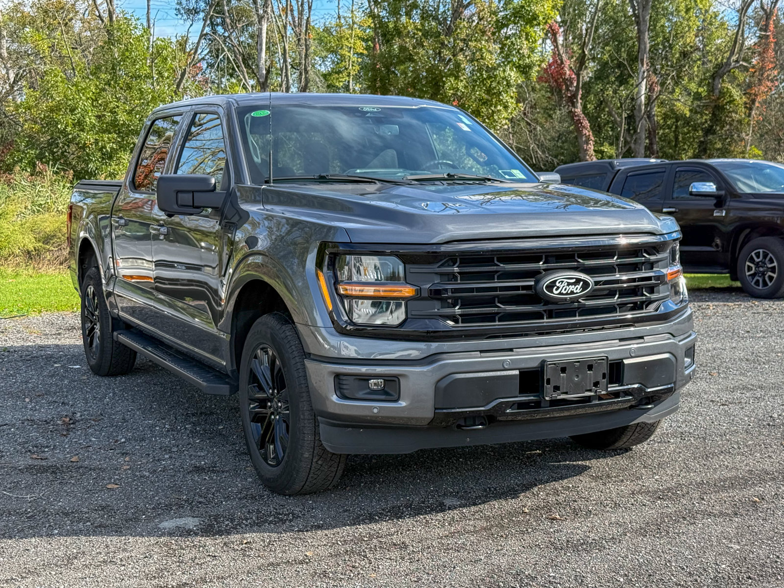 Photo view of 2025 Ford F-150 in Gray