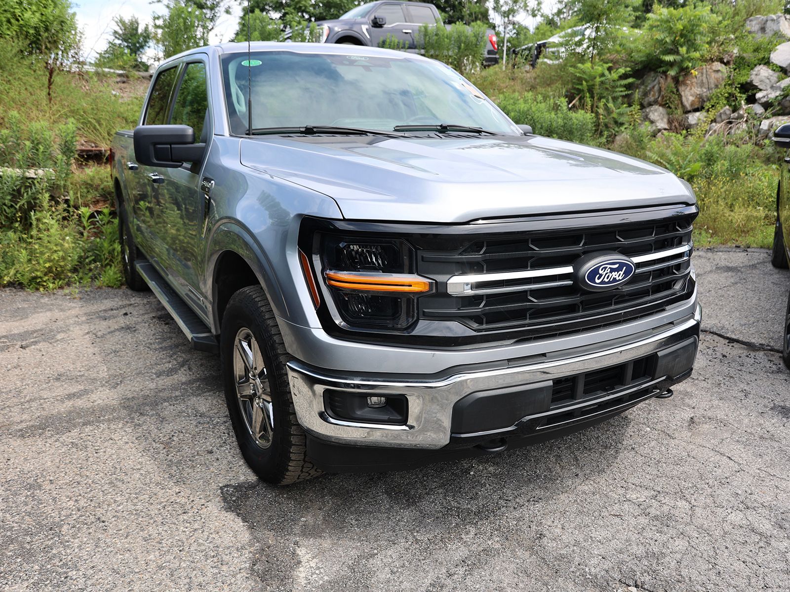 Photo view of 2025 Ford F-150 in Silver