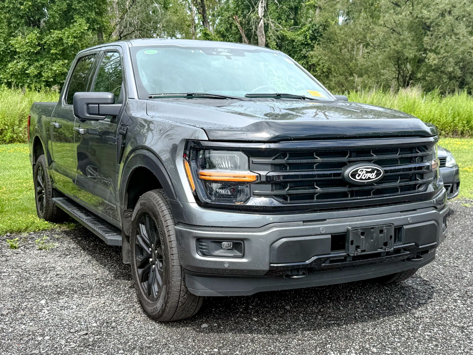 Photo view of 2025 Ford F-150 in Gray