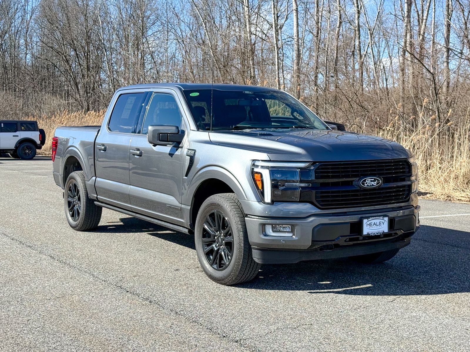 Photo view of 2025 Ford F-150 in Gray