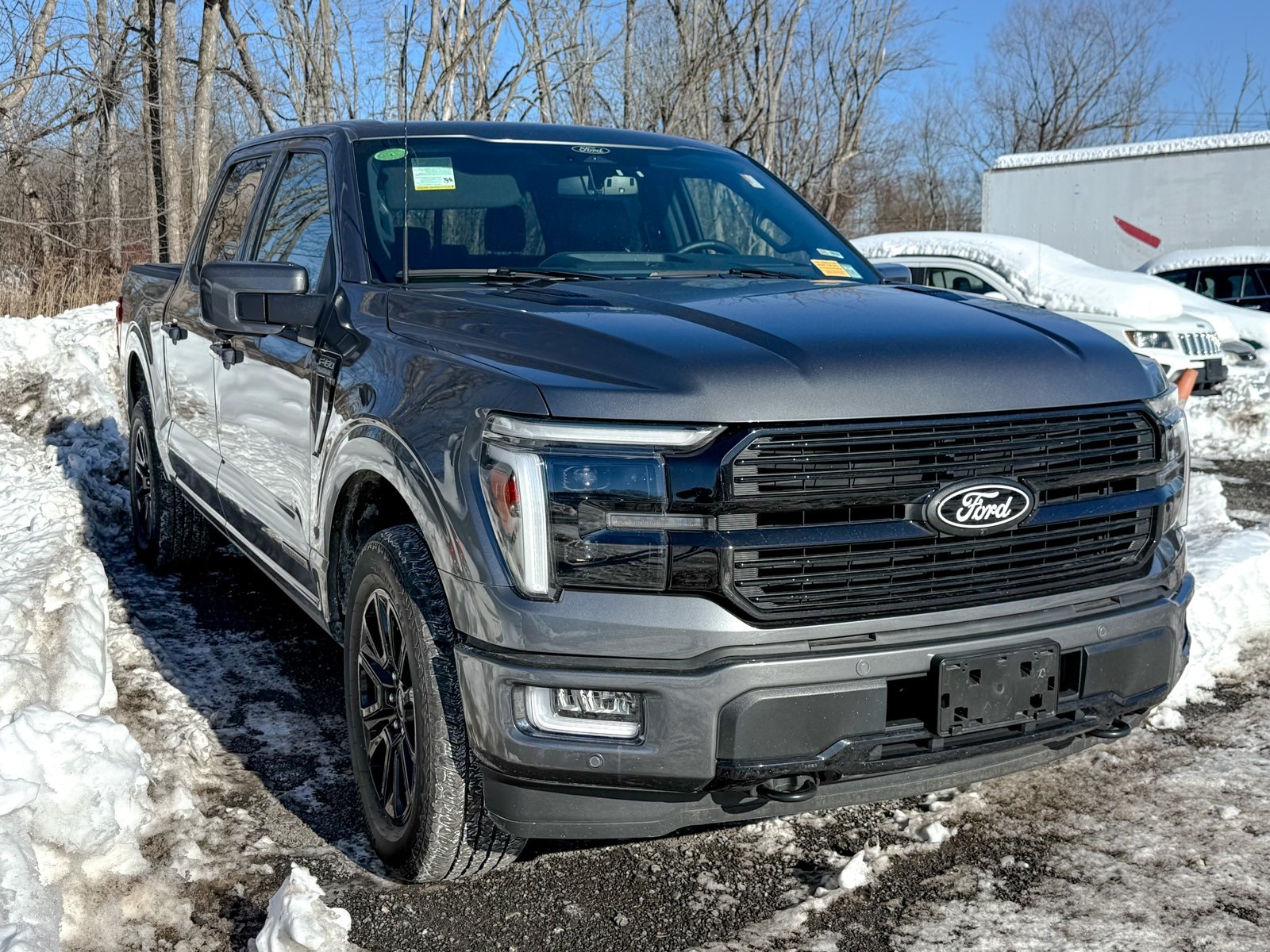 Photo view of 2025 Ford F-150 in Gray