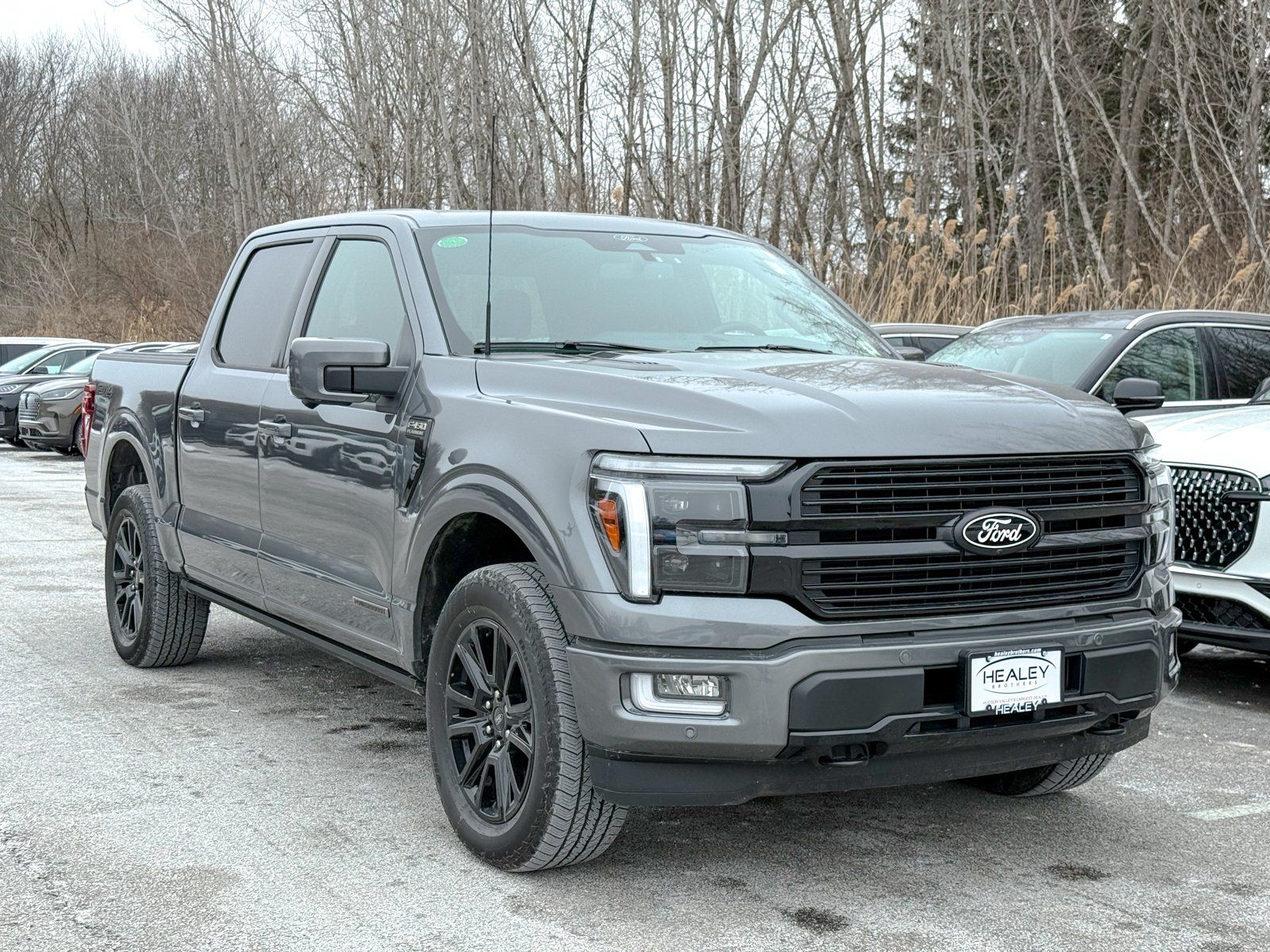 Photo view of 2025 Ford F-150 in Gray