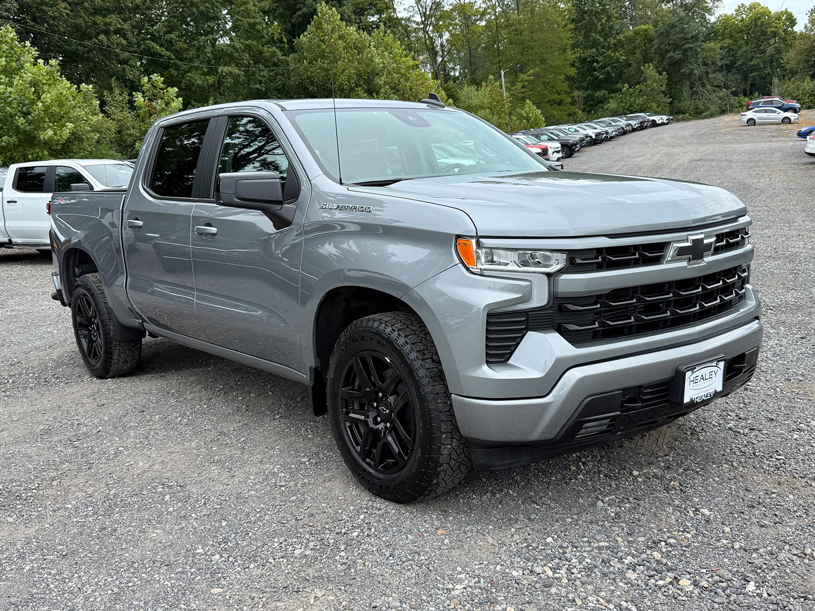 Photo view of 2024 Chevrolet Silverado 1500 in Gray