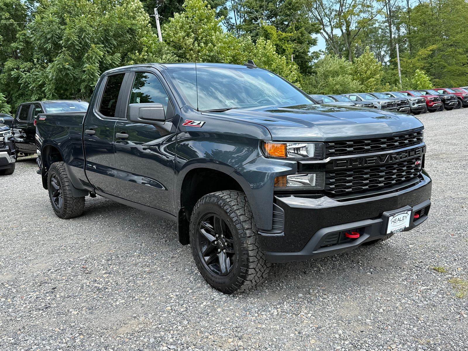 Photo view of 2019 Chevrolet Silverado 1500 in Gray