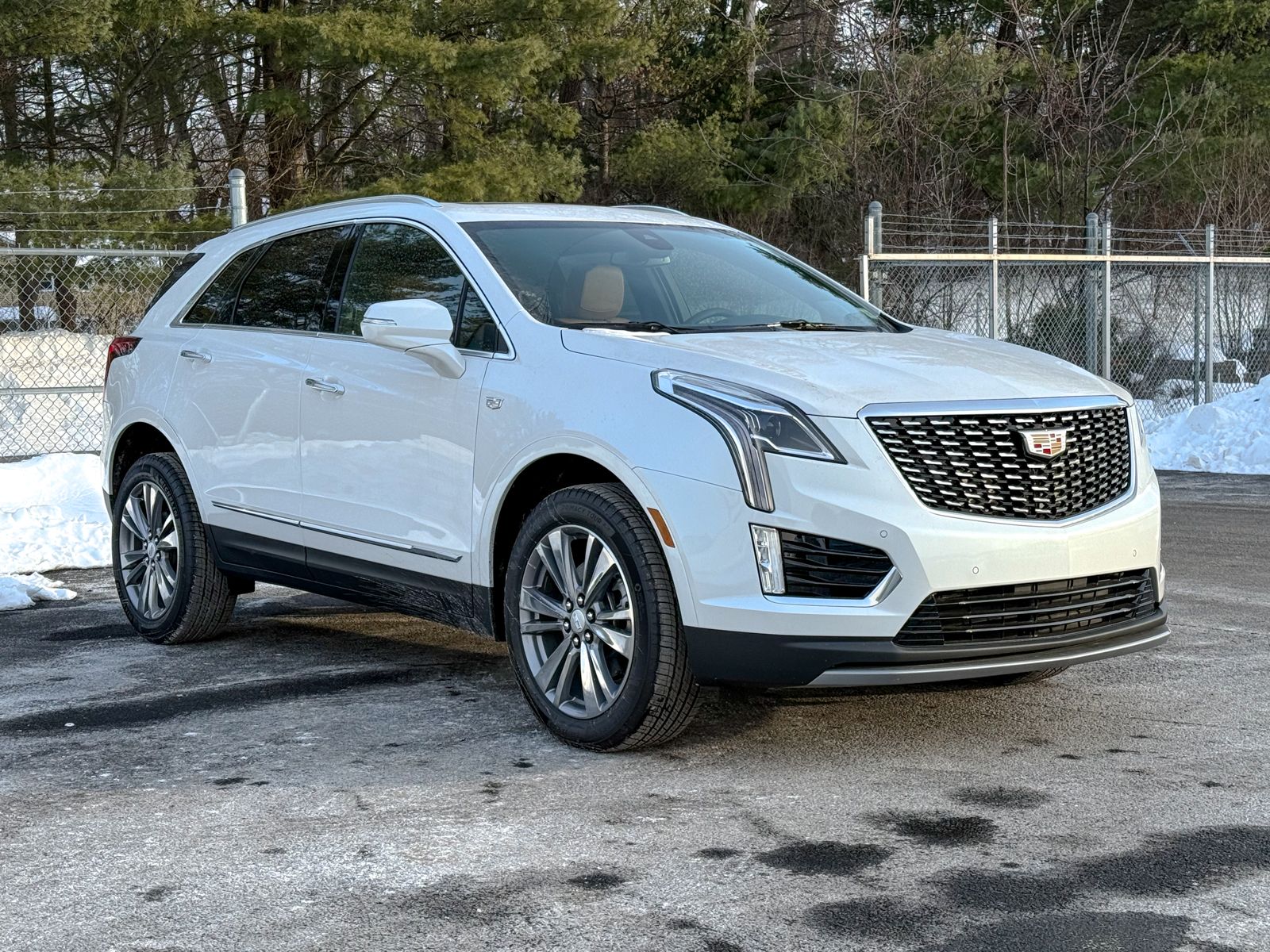 Photo view of 2025 Cadillac XT5 in White