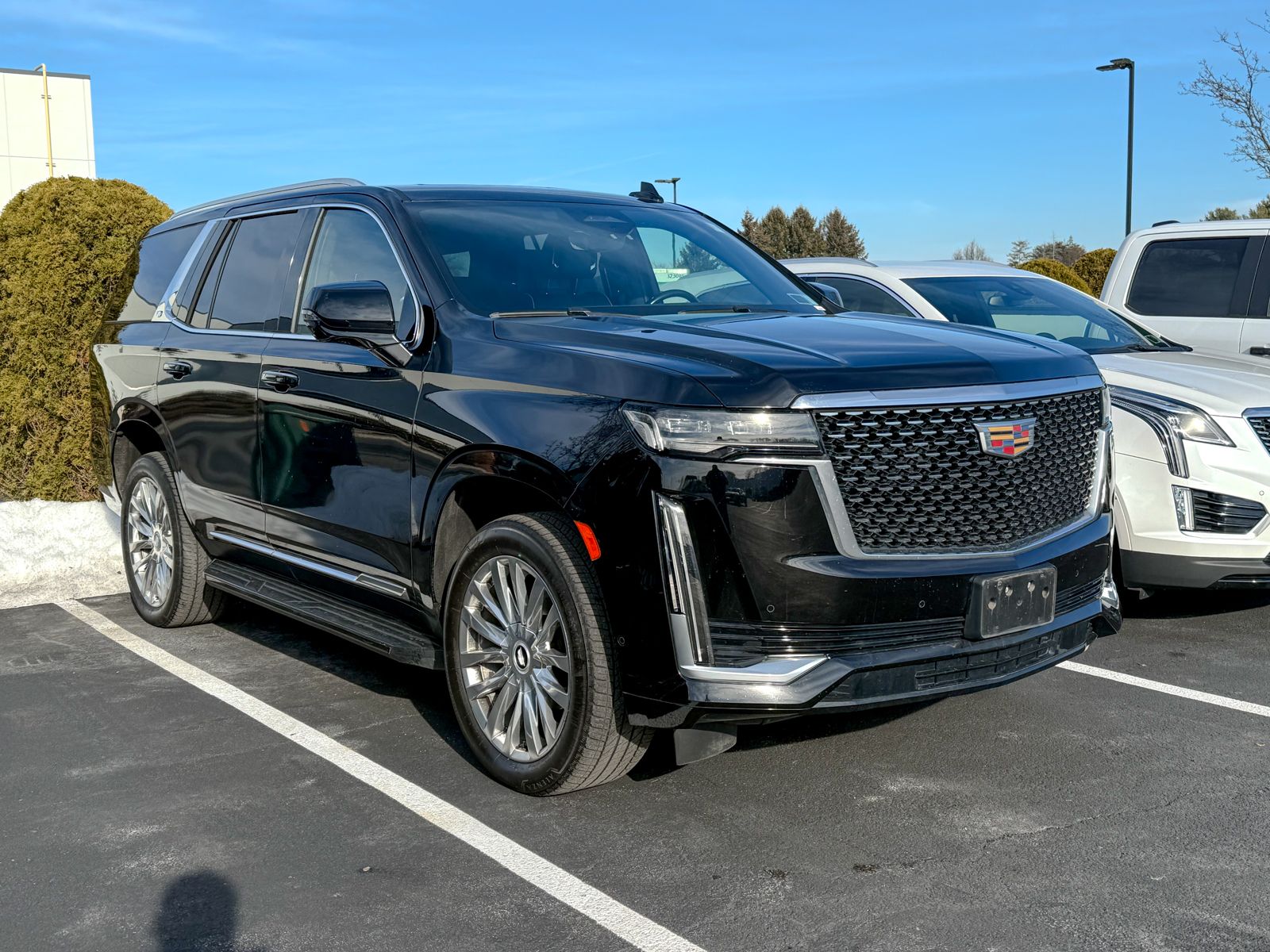 Photo view of 2023 Cadillac Escalade in Black