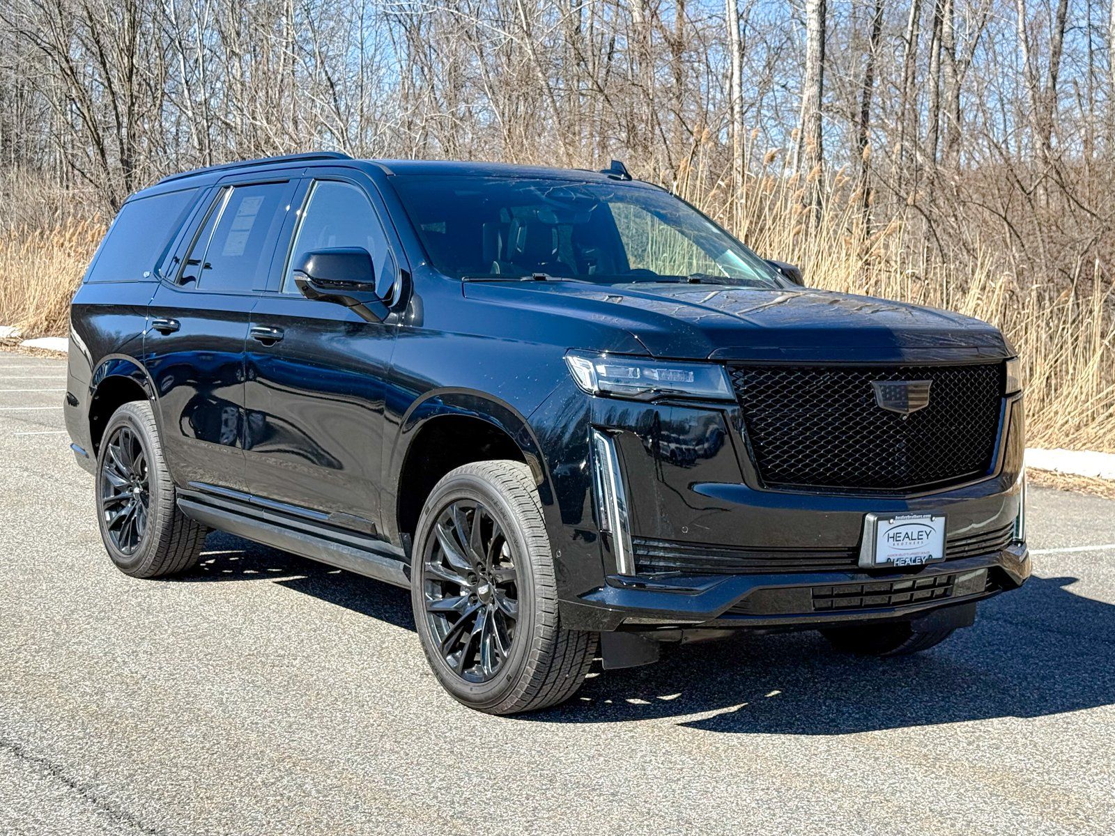 Photo view of 2021 Cadillac Escalade in Black