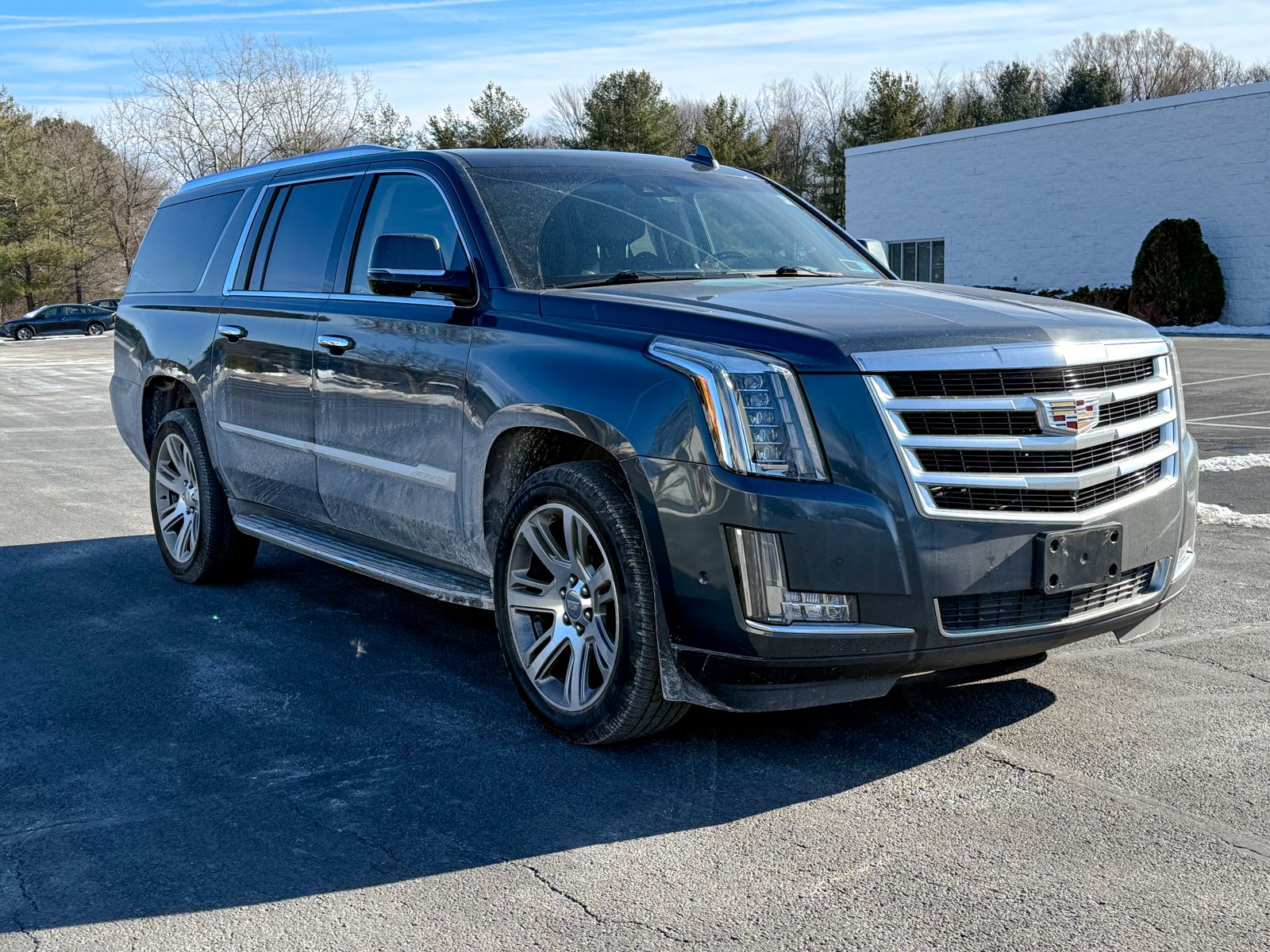 Photo view of 2019 Cadillac Escalade ESV in Gray