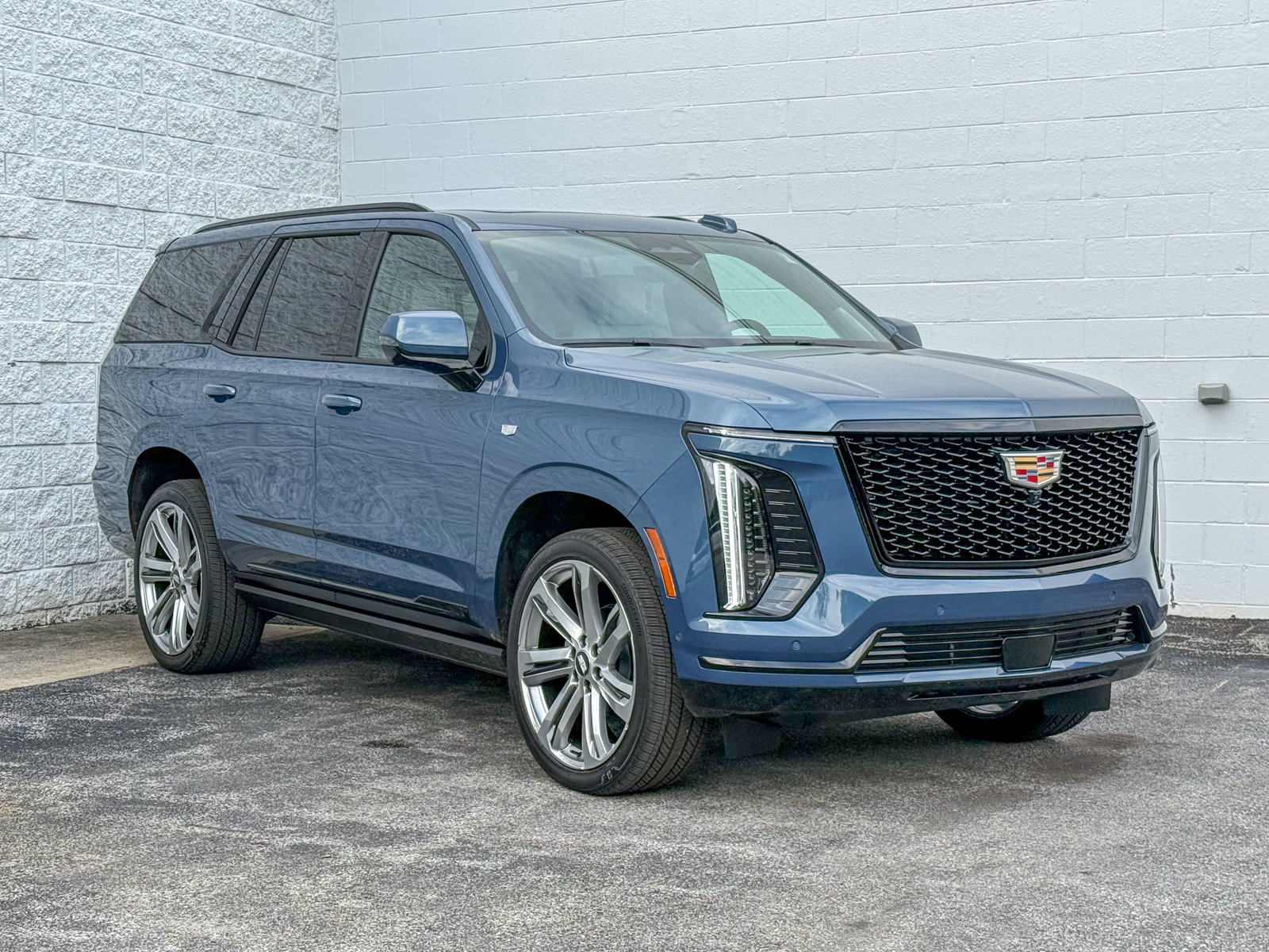 Photo view of 2026 Cadillac Escalade in Blue
