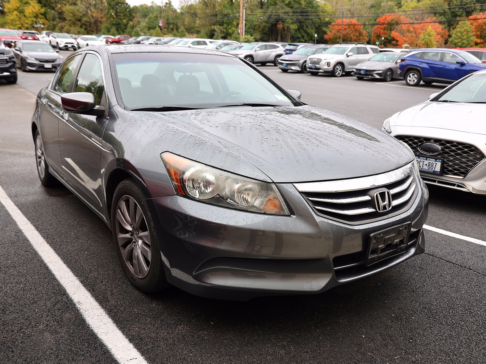 Photo view of 2011 Honda Accord Sedan in Gray