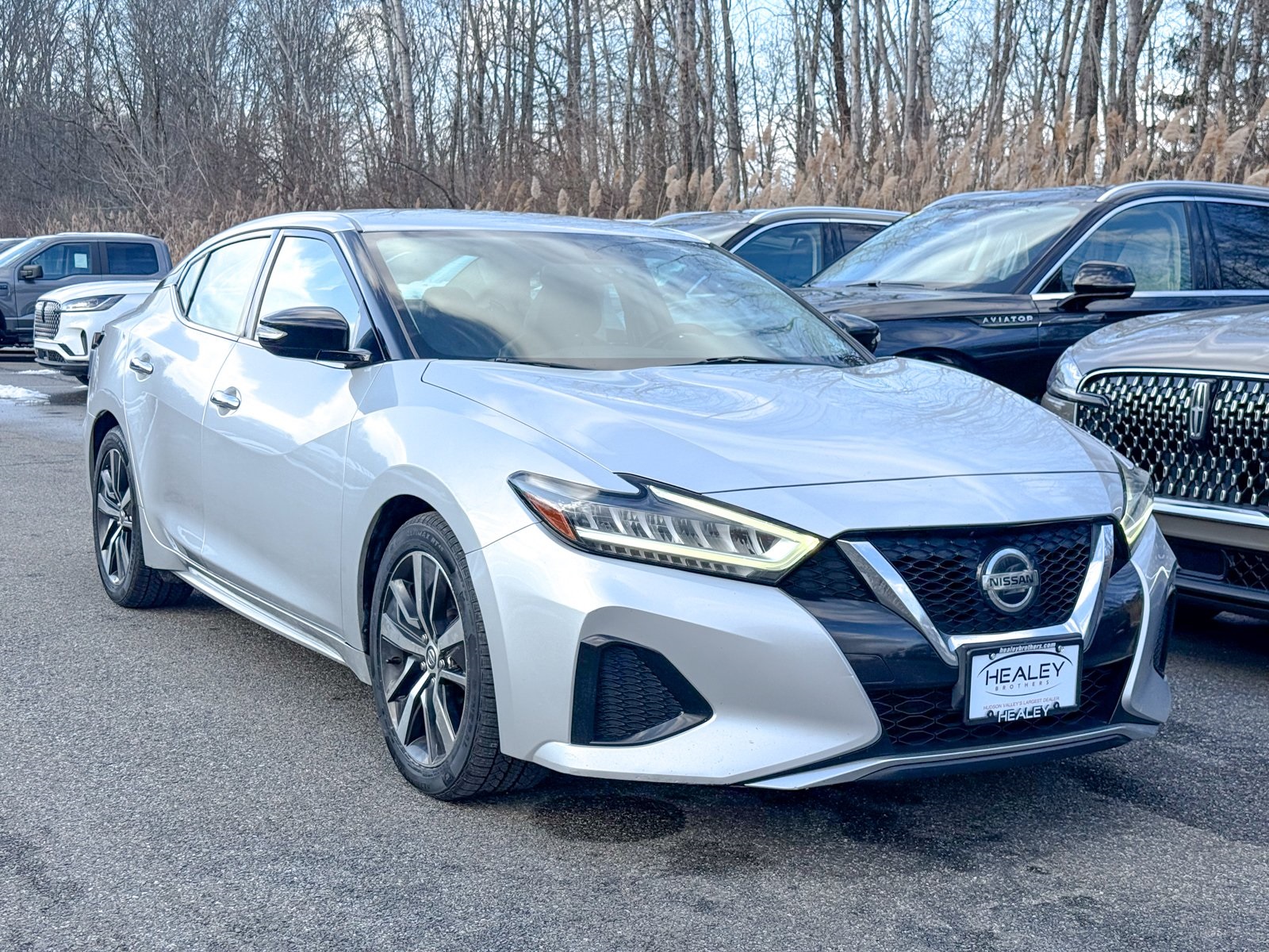 Photo view of 2019 Nissan Maxima in Silver