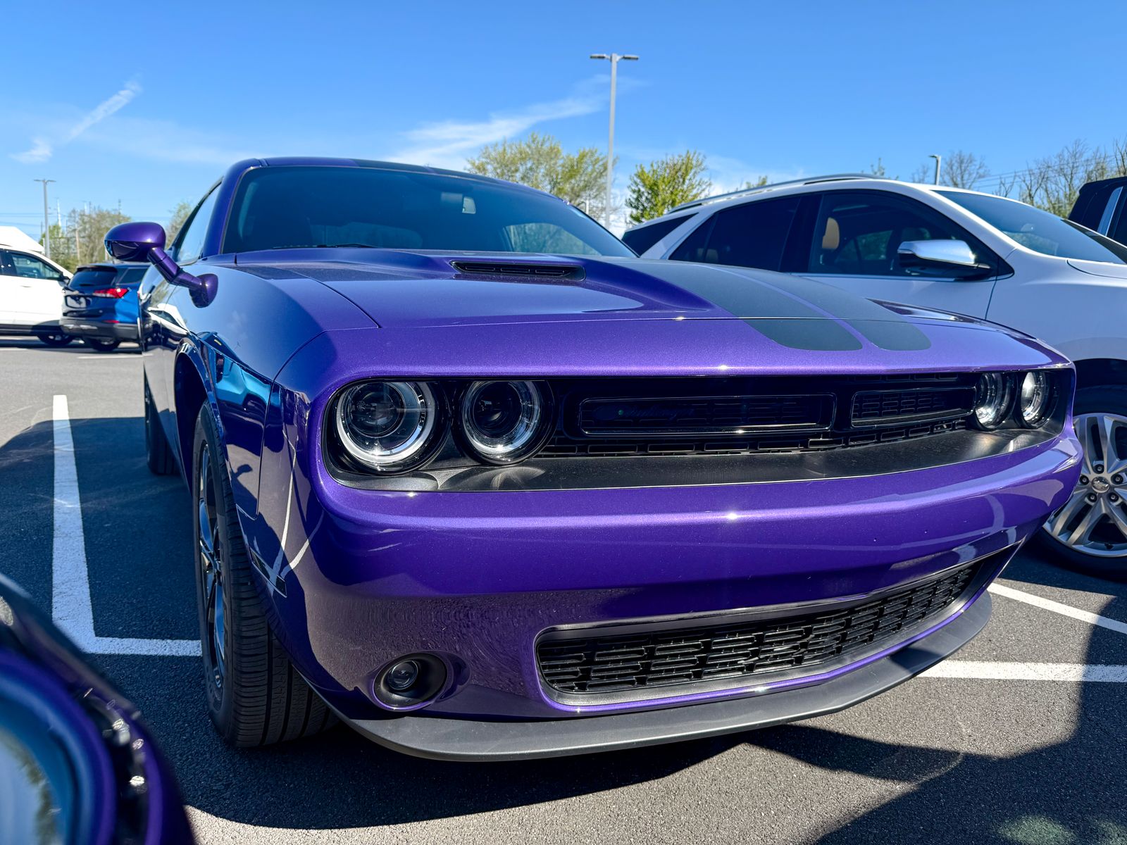 Photo view of 2023 Dodge Challenger in Purple