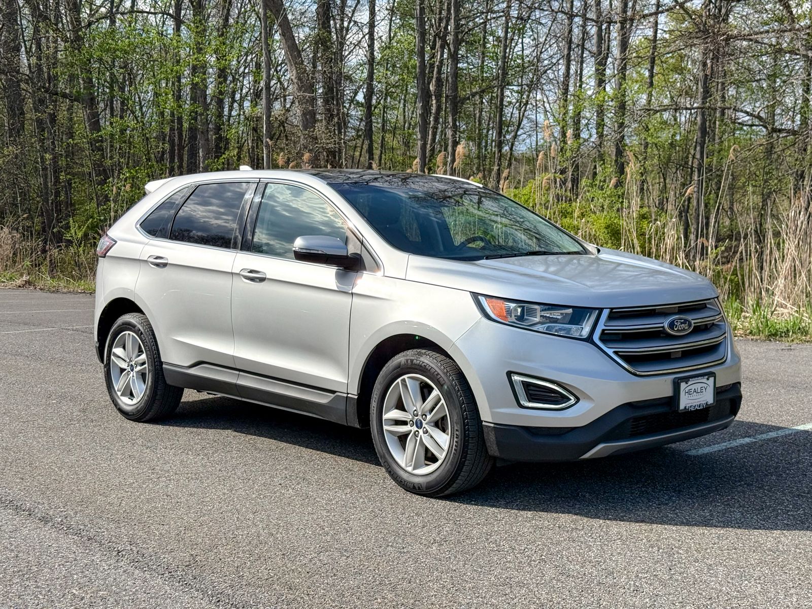 Photo view of 2018 Ford Edge in Silver
