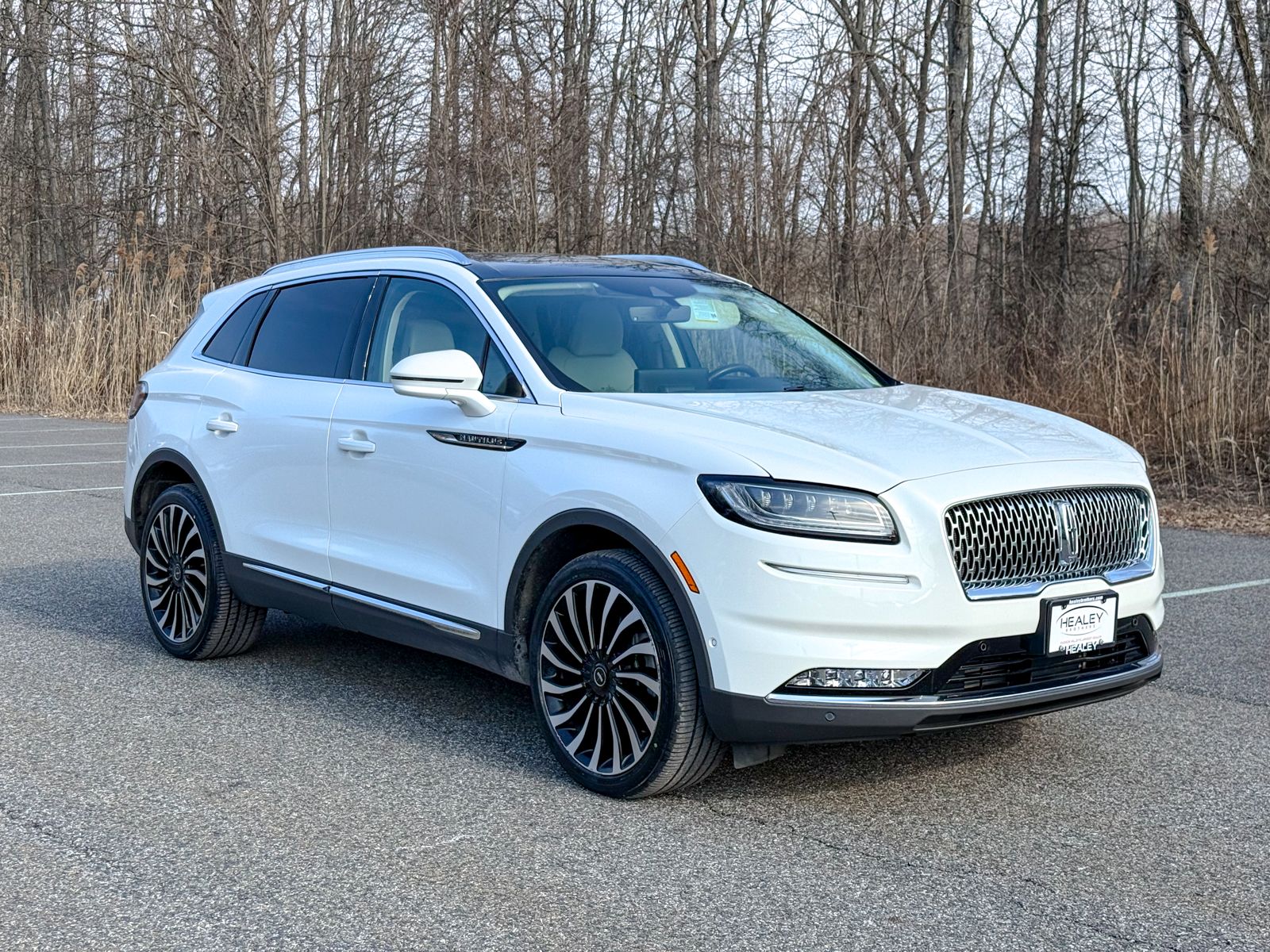 Photo view of 2022 Lincoln Nautilus in White