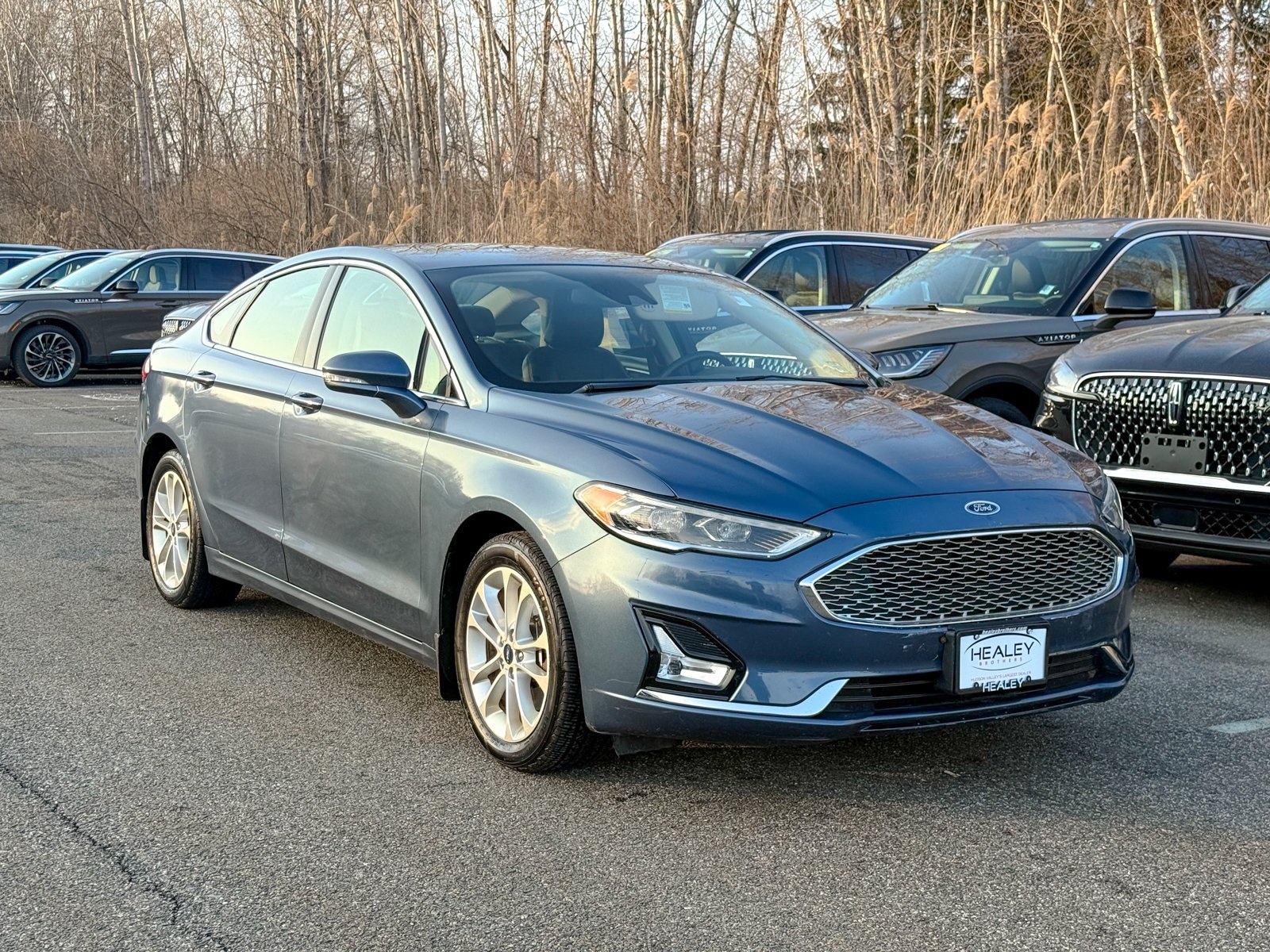Photo view of 2019 Ford Fusion Energi in Blue
